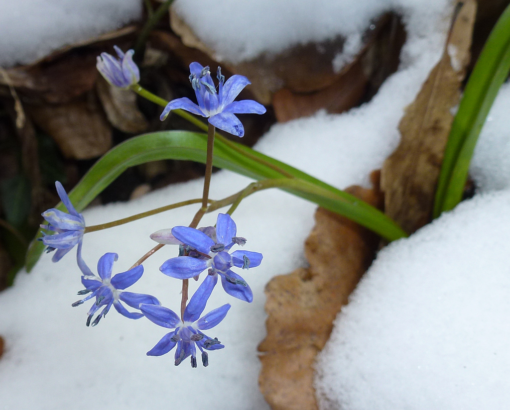 01P1540747 geblitzt.JPG