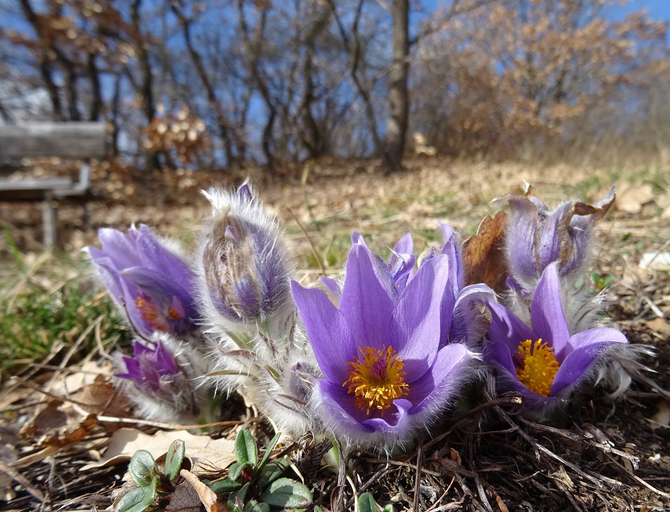 2022-02-19 DSC00524.JPG