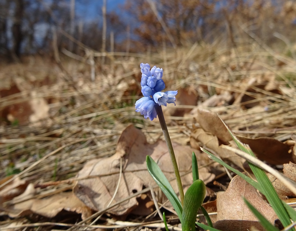 2022-02-19 DSC00534.JPG