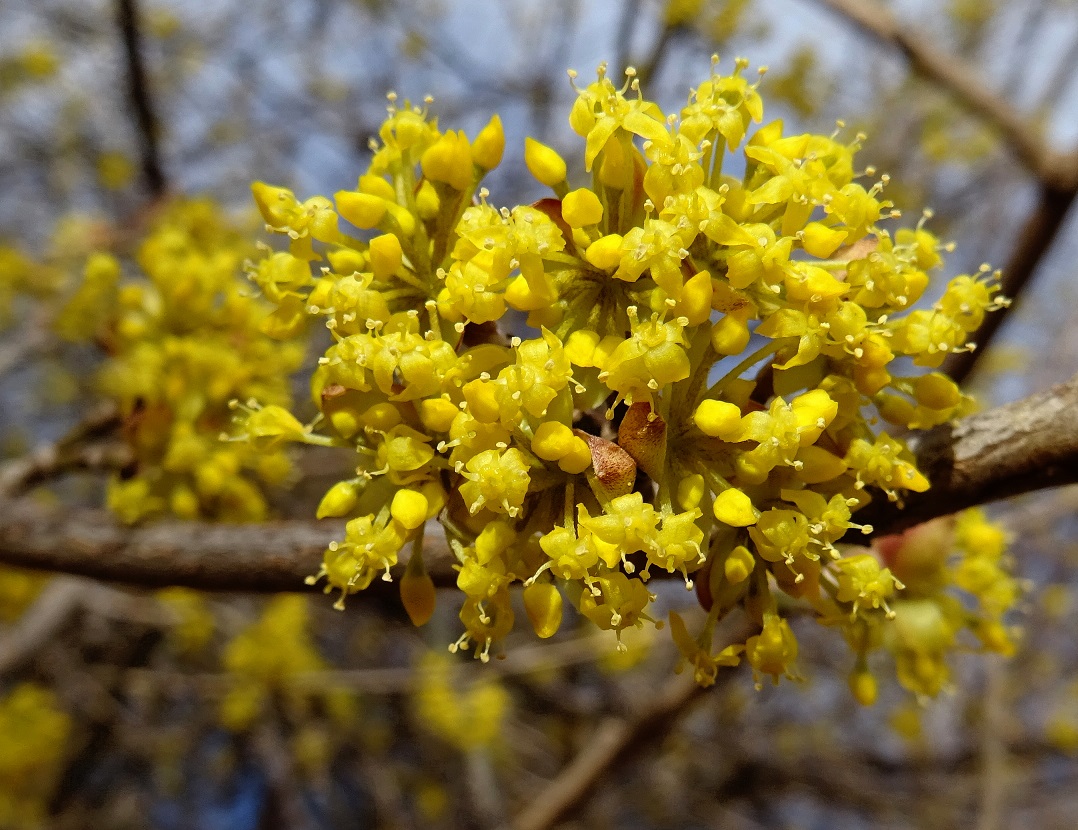 2022-02-19 DSC00572.JPG