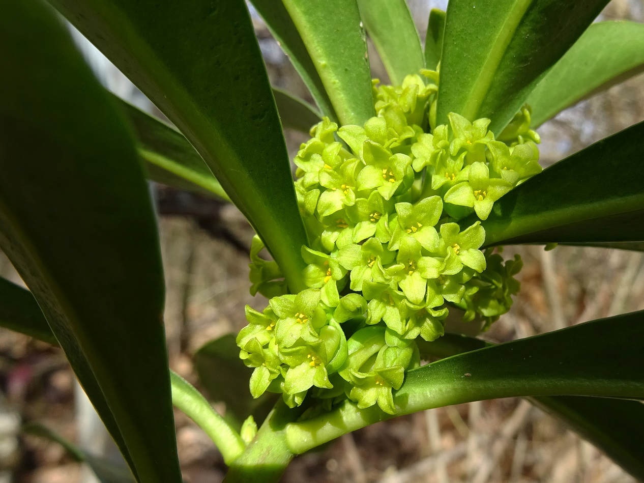 2022-02-19 DSC00587.JPG