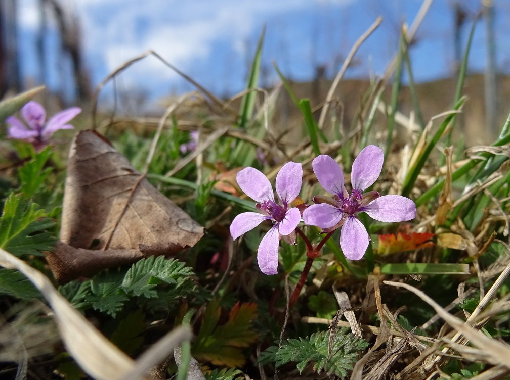 2022-02-19 DSC00549.JPG