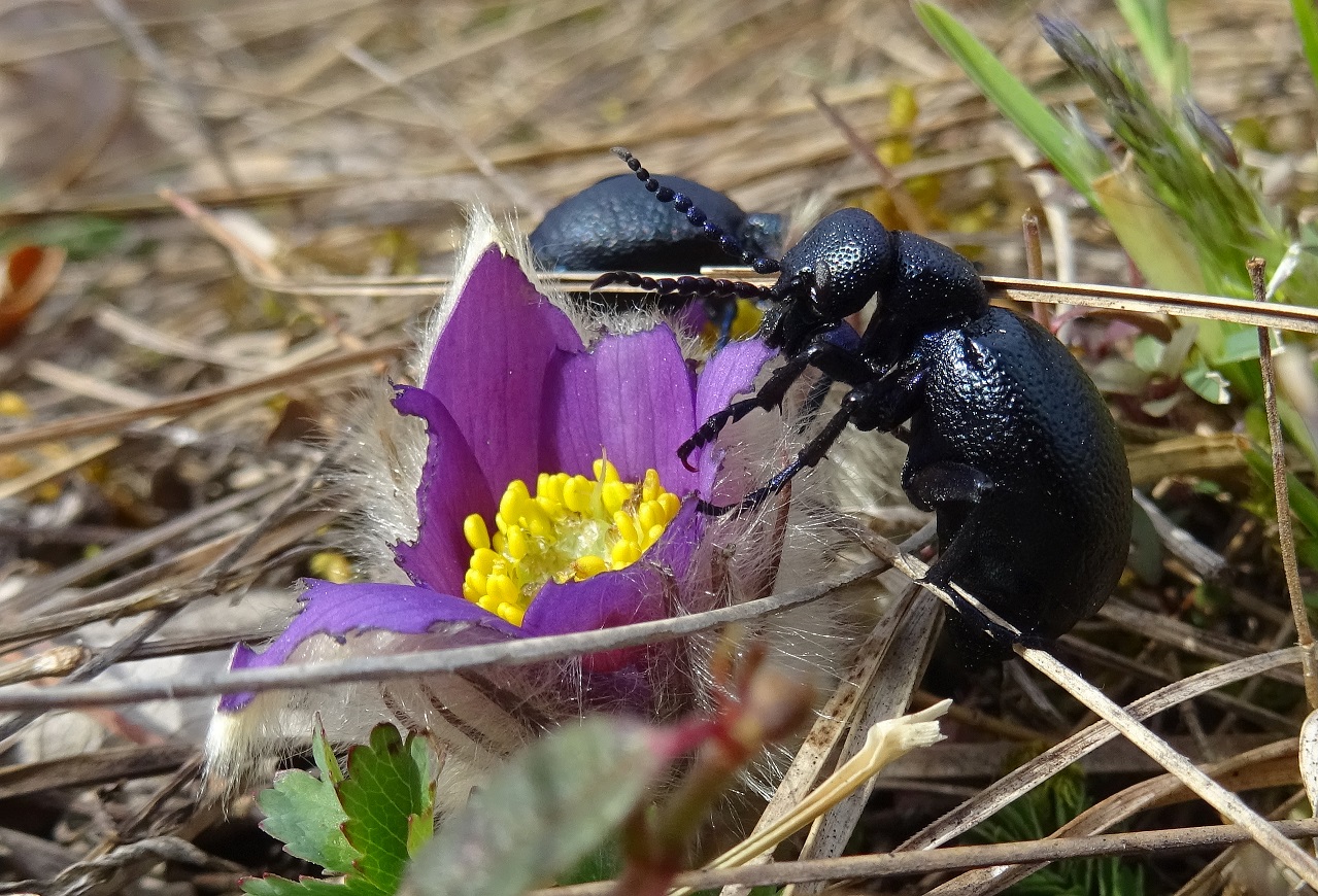 2022-02-19 DSC00633.JPG