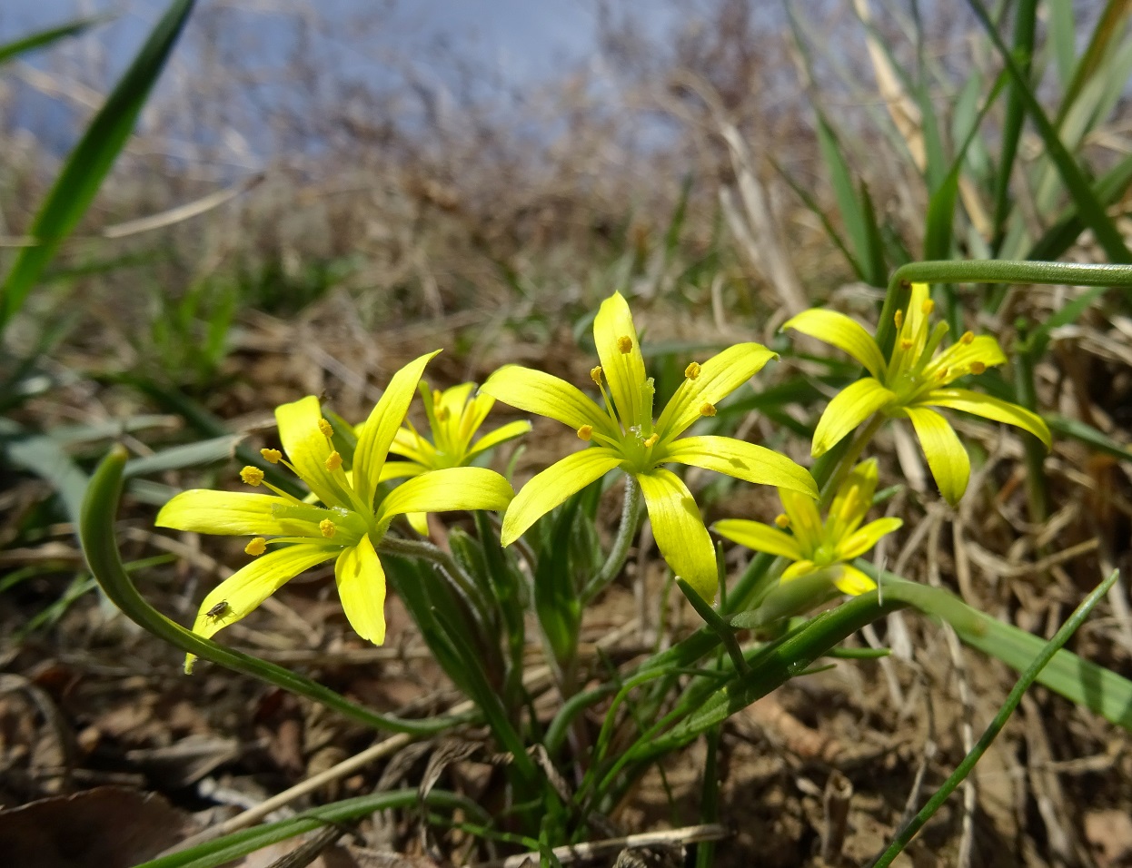 2022-02-19 DSC00502.JPG