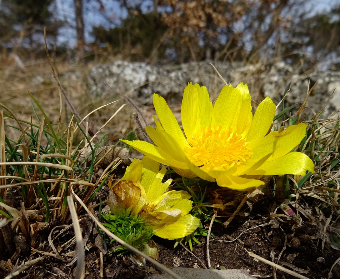 2022-02-19 DSC00640.JPG