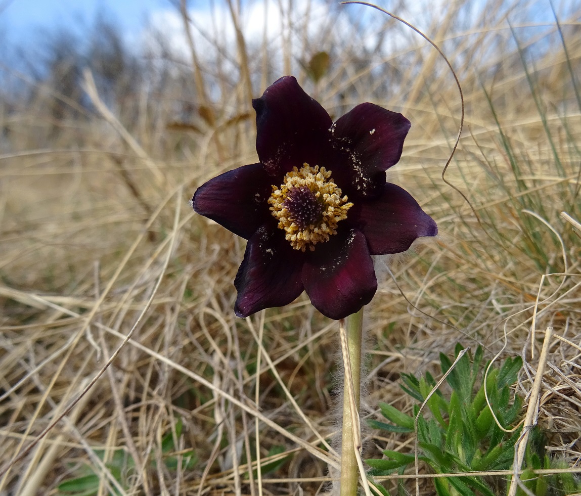 2022-03-18 DSC04672 .JPG