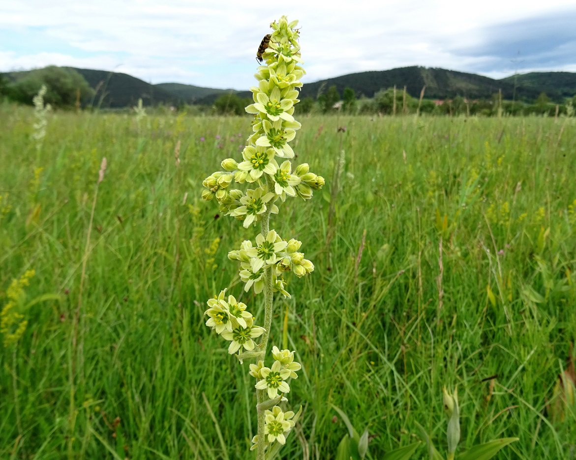 2022-06-25 DSC03334.JPG