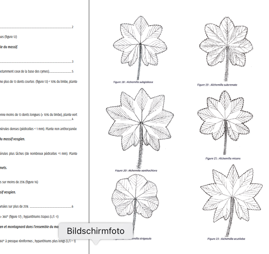 Bildschirmfoto 2023-02-26 um 10.33.09.png
