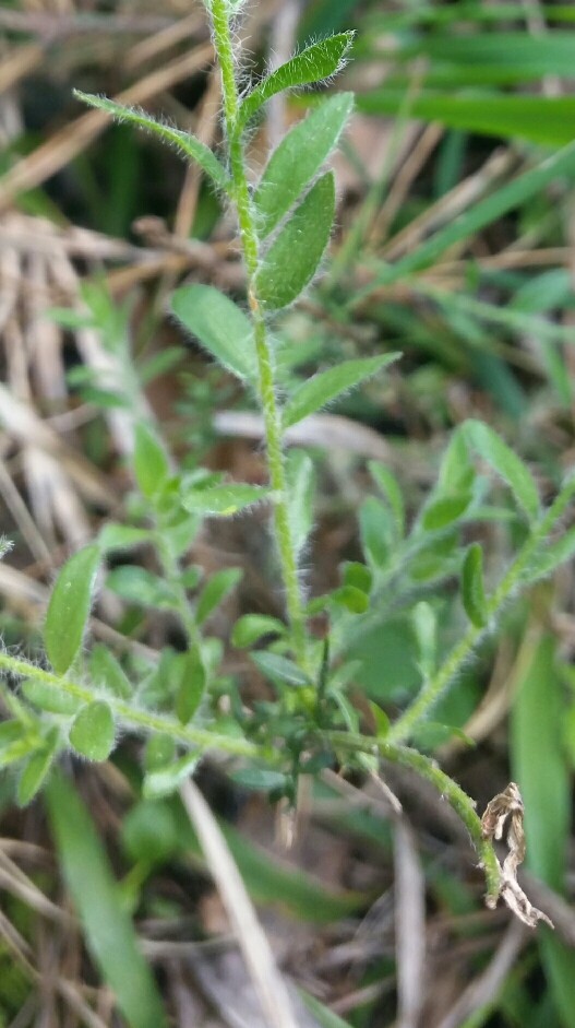 2018-05-08 09.47.45-527x941.jpg