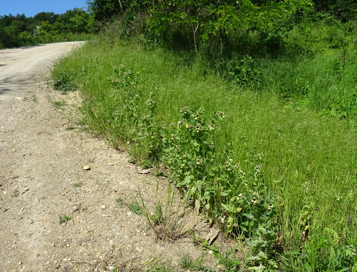 05-09-2024  DSC02344.JPG