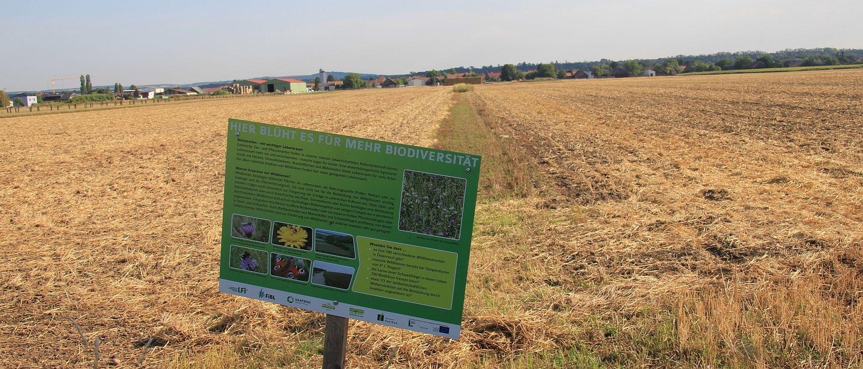 Biodiversitaetsflaechentafel_Absdorf_20170722_01.jpg