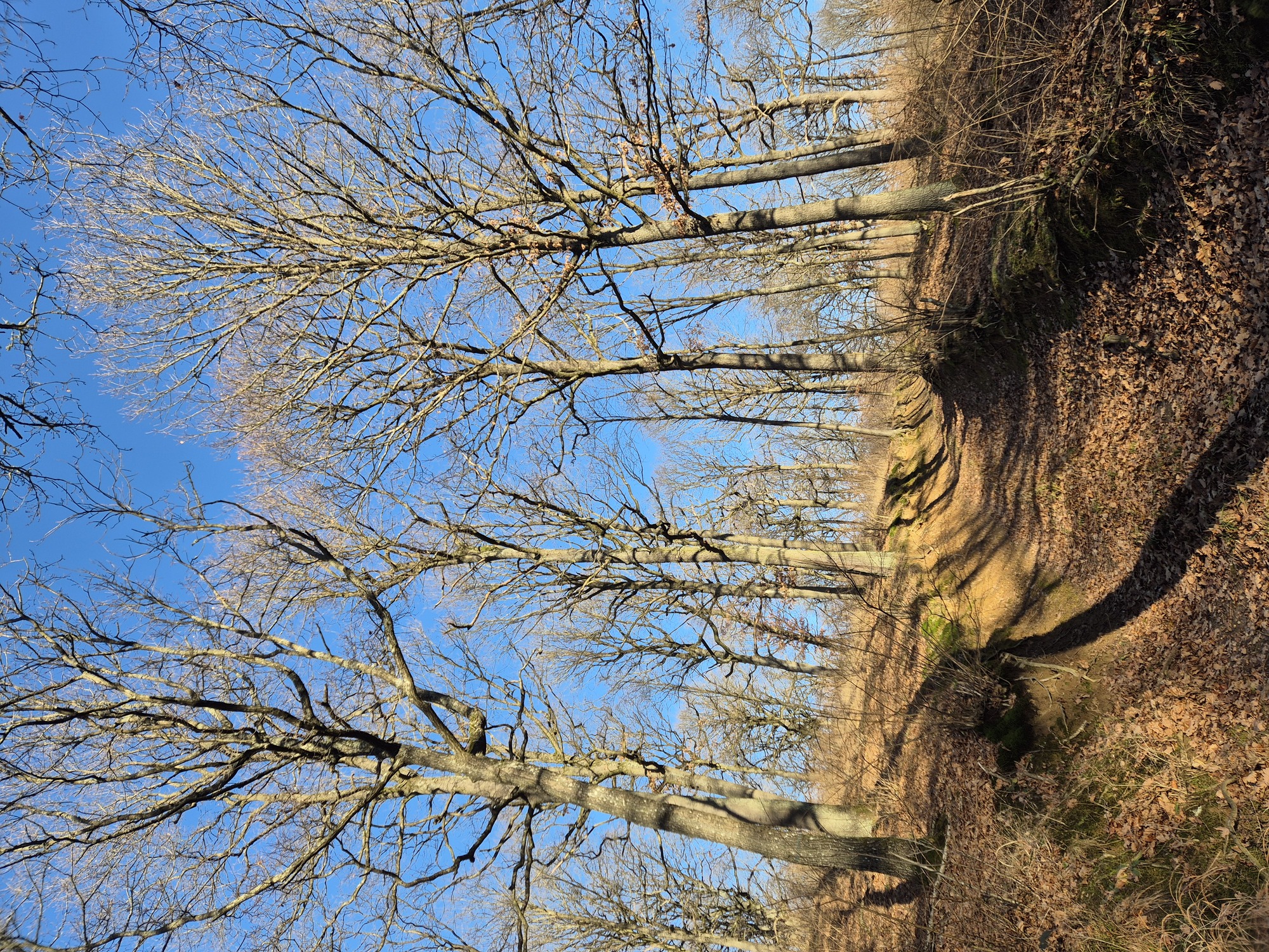 20241221_100648.jpg