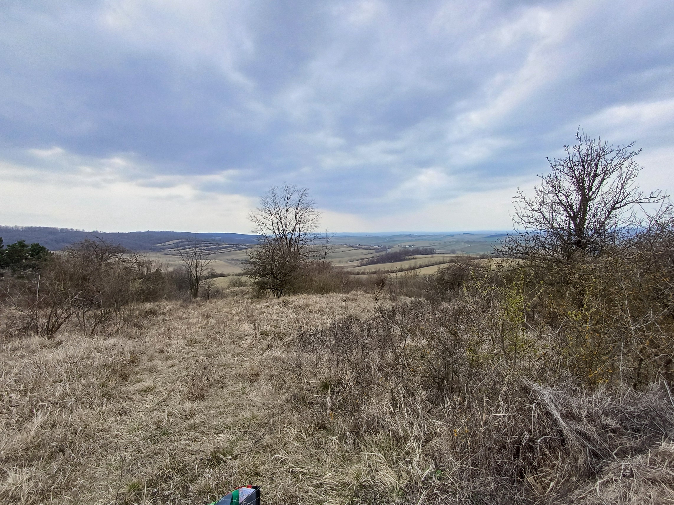 pflegeeinsatz bockstallberg 20250322_141634.jpg