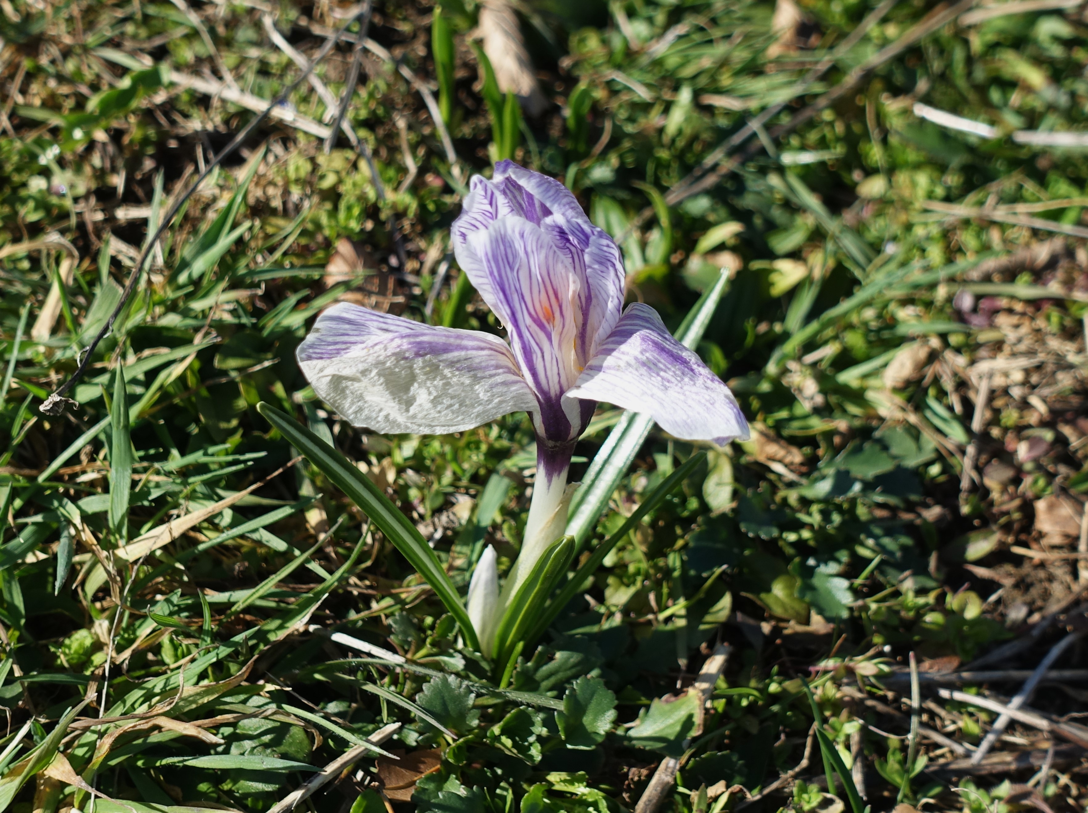 DSC02140.JPG