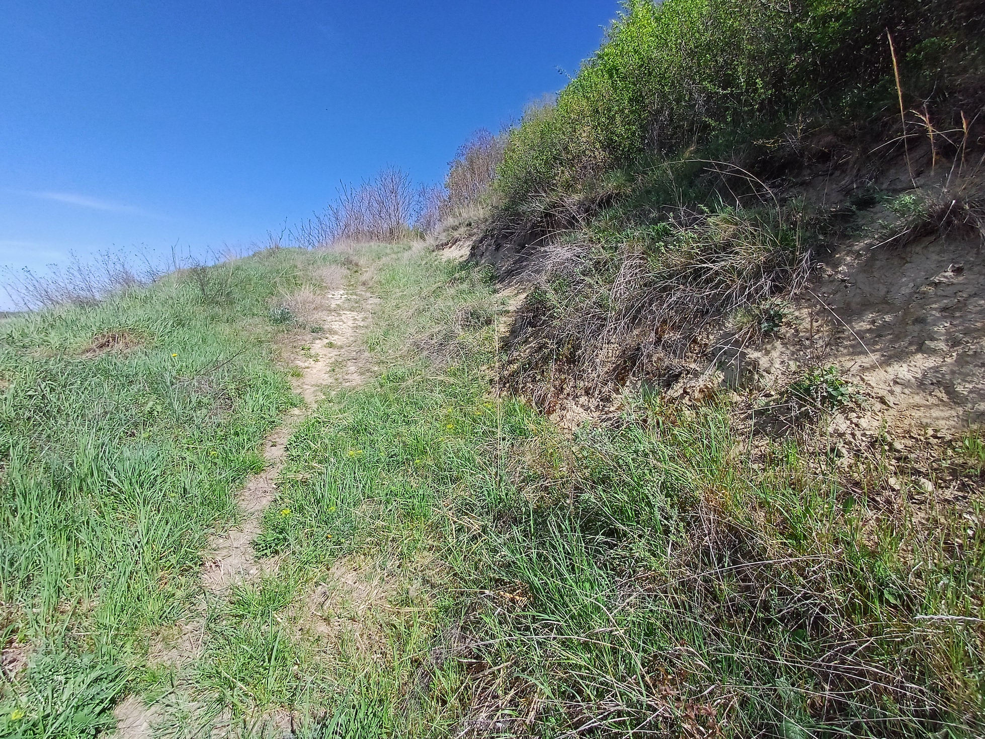 lössweg rainberg südlicher teil stixberg NW stixneusiedl 20250416_110736.jpg