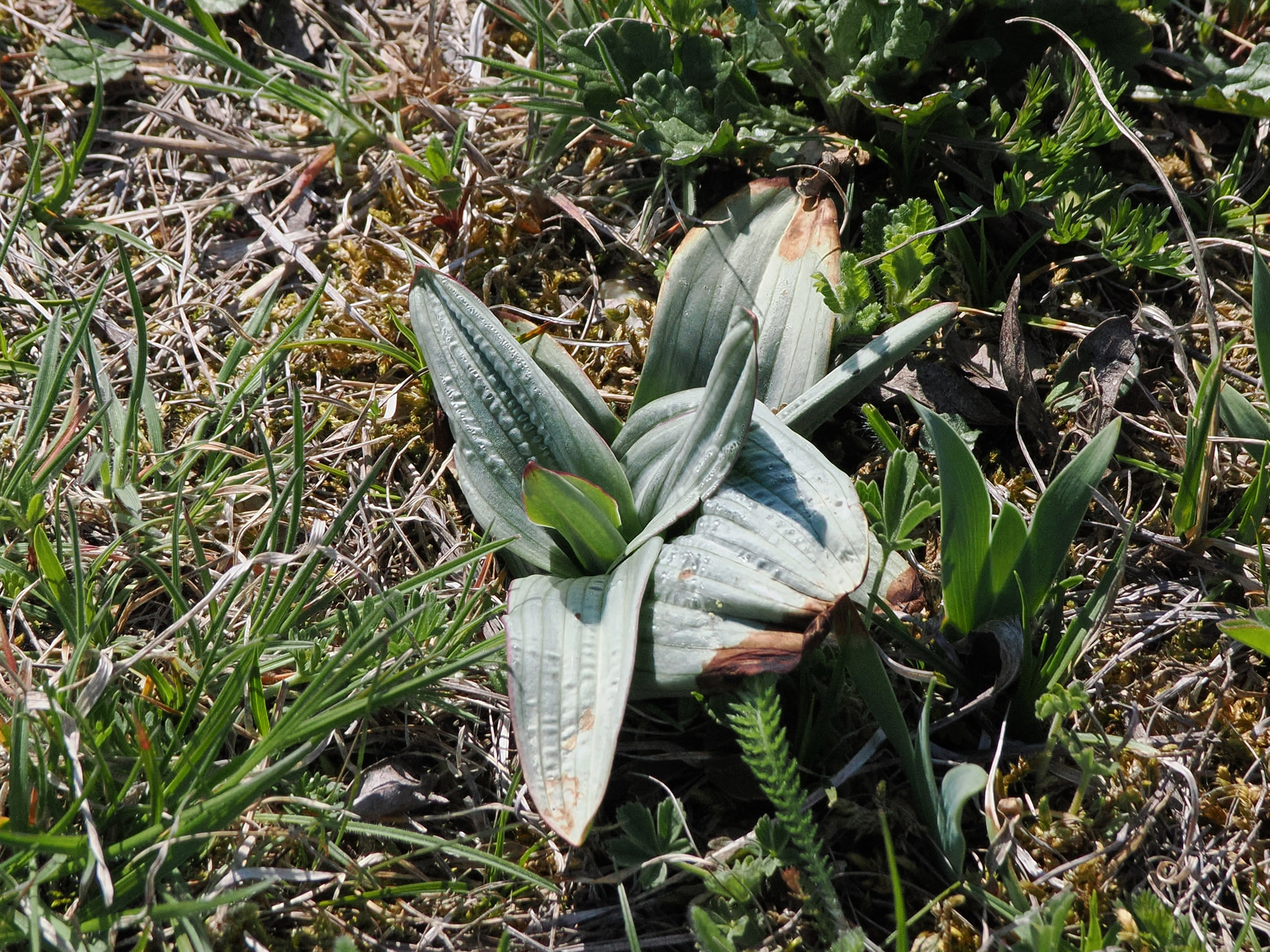 P4120943.jpg