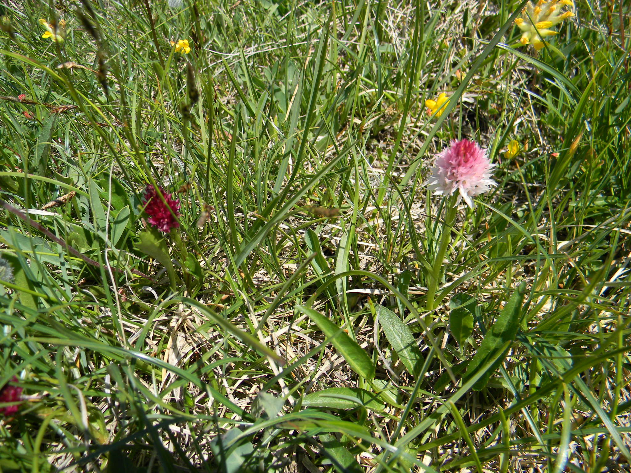 DSCN1401.JPG