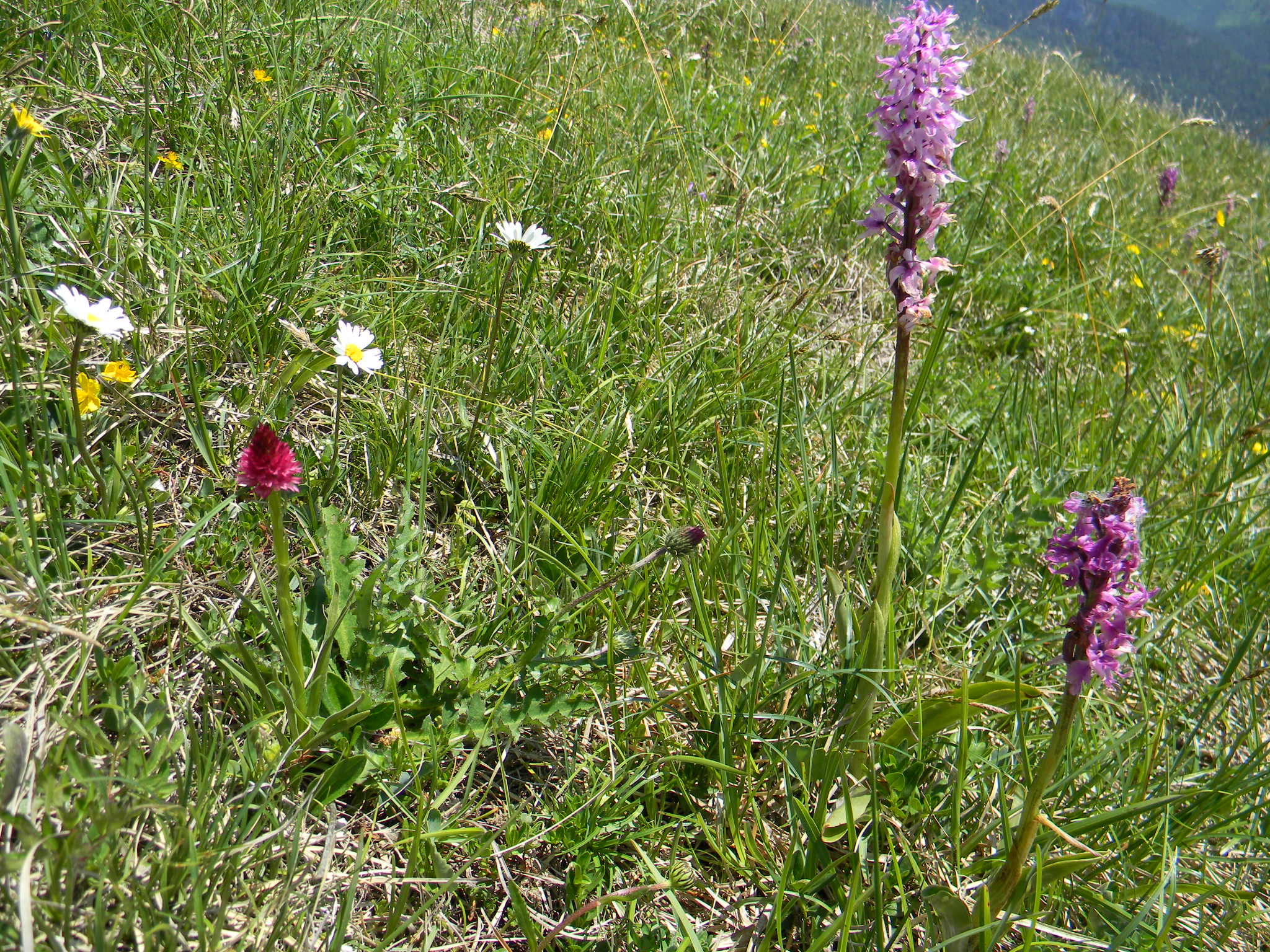 DSCN1410.JPG