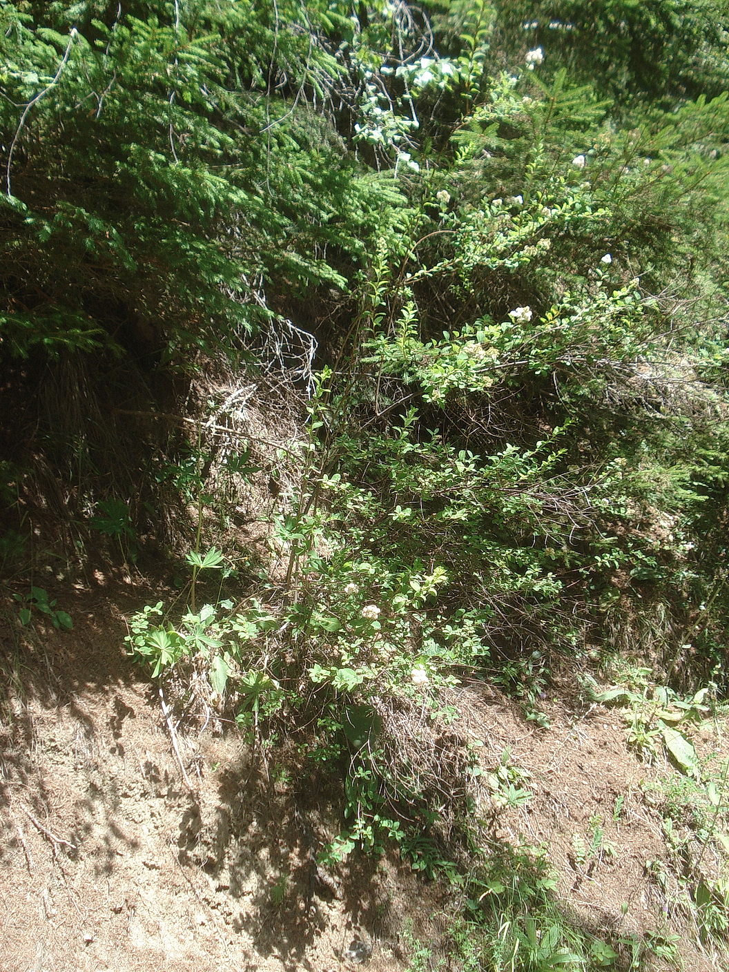 DSC09302.JPG