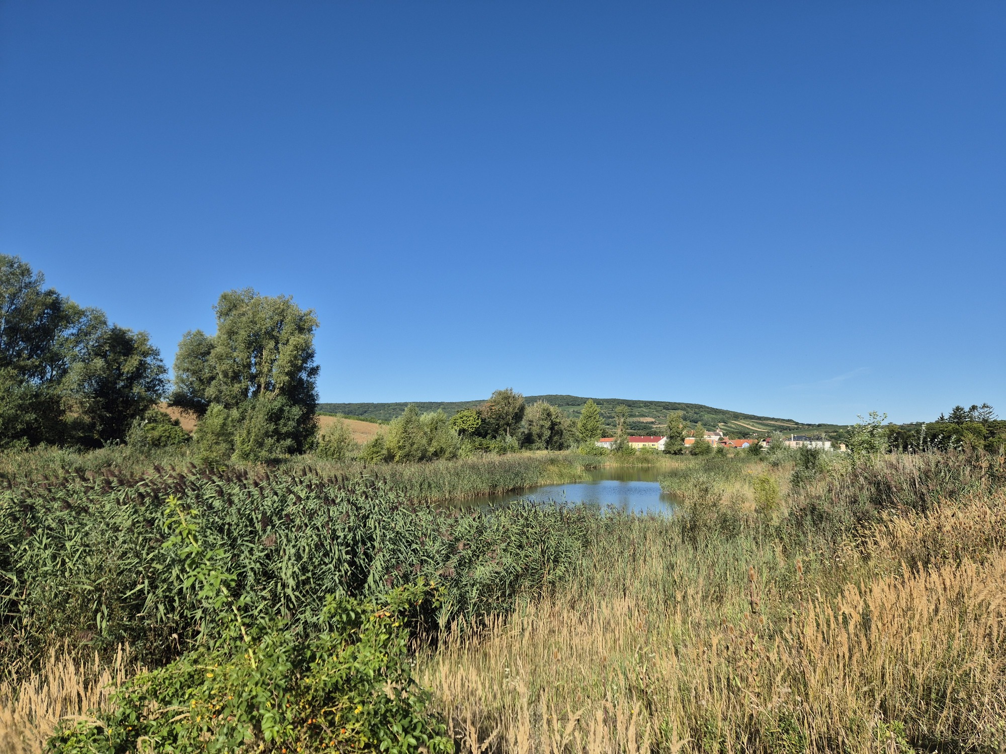 20250824_084434.jpg