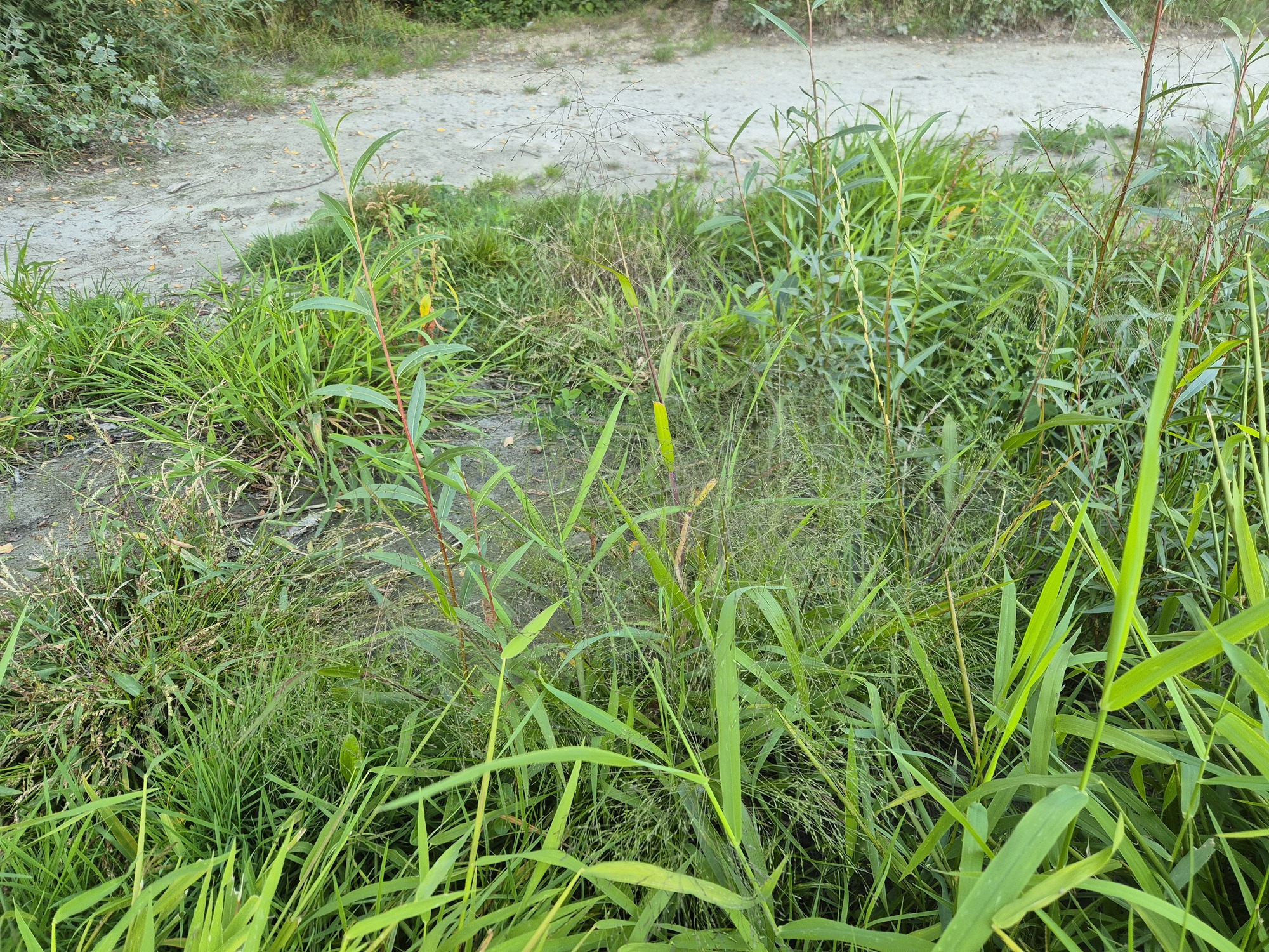 20250918_182354.jpg