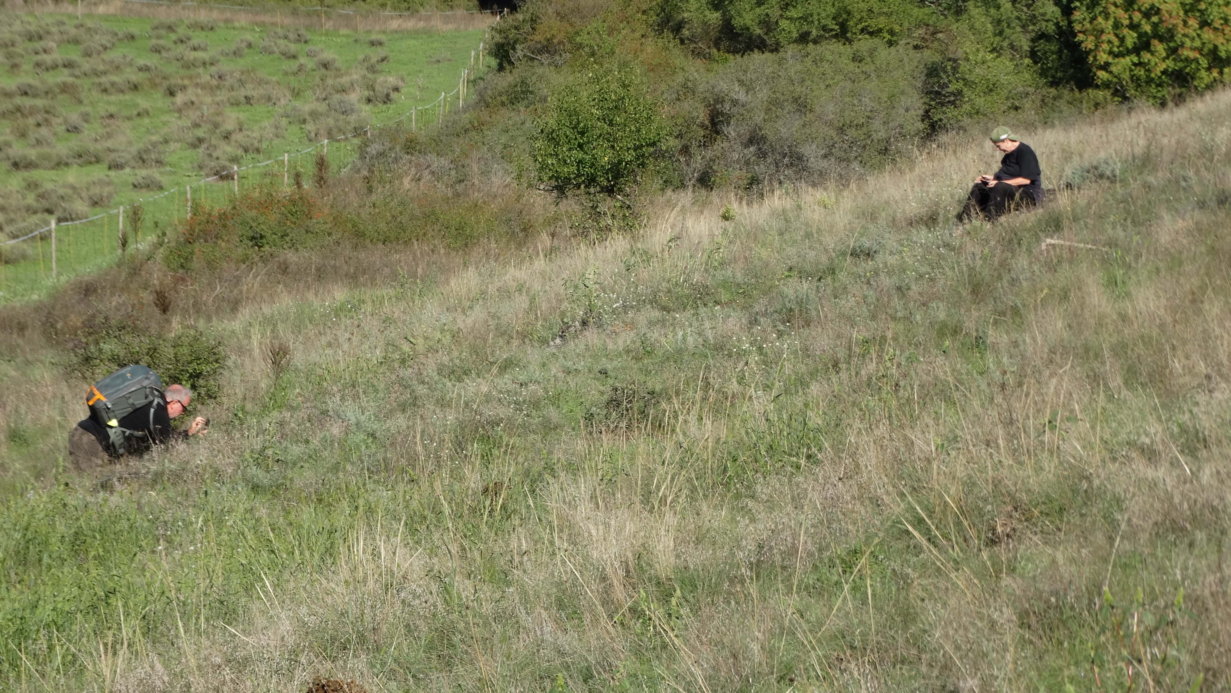 DSC02350.jpg