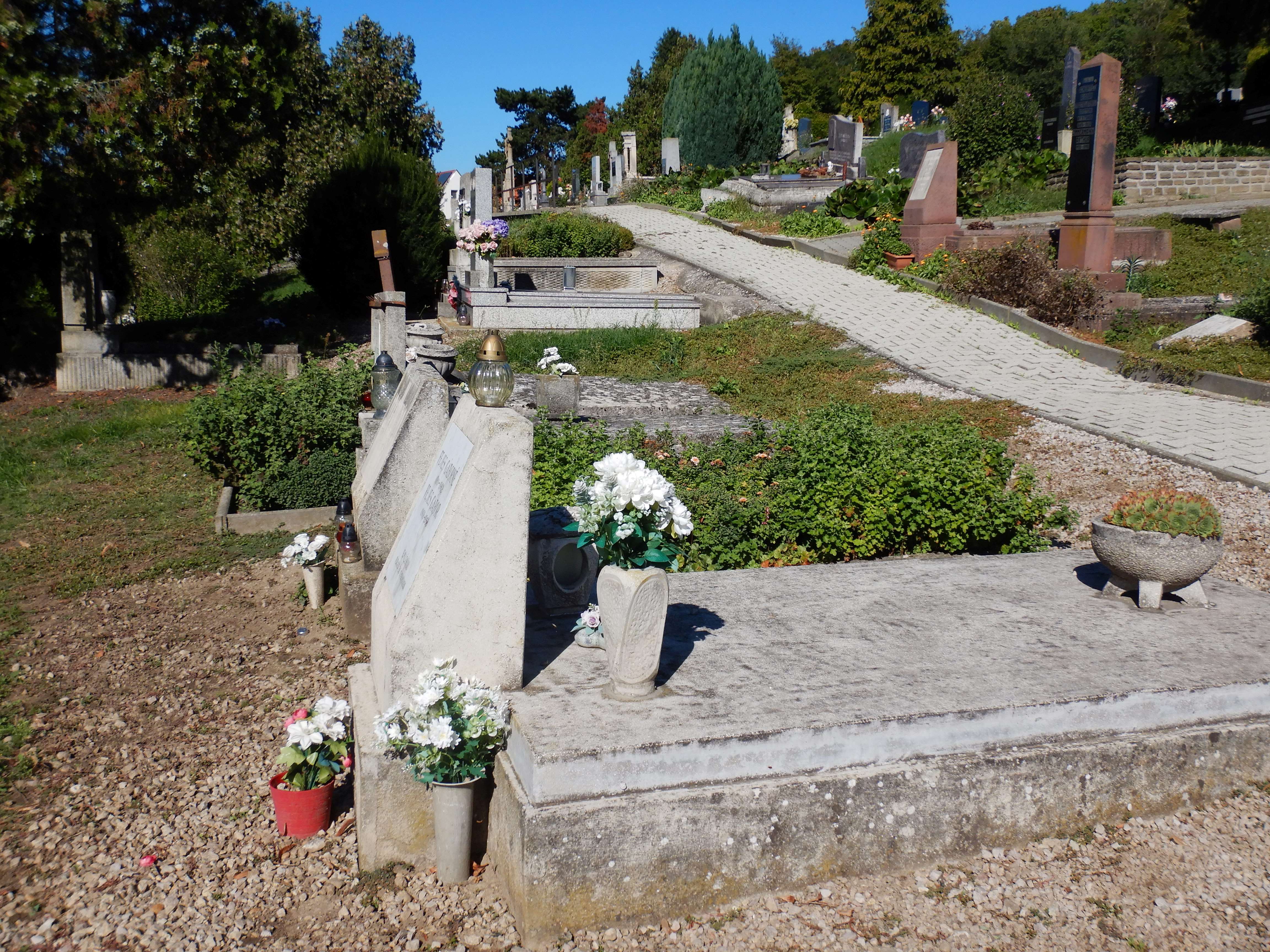 DSCN1277.jpg