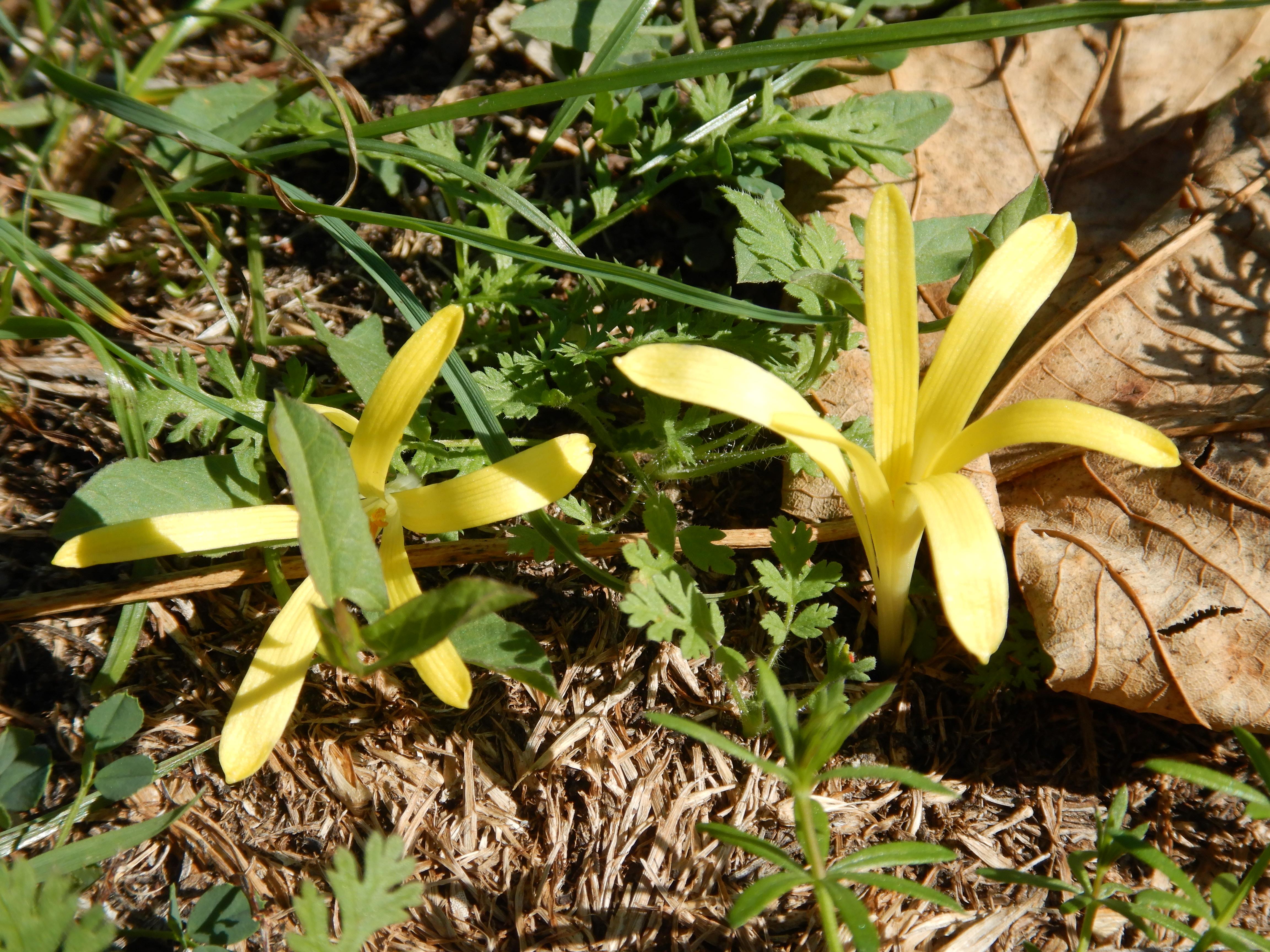 DSCN1417.jpg