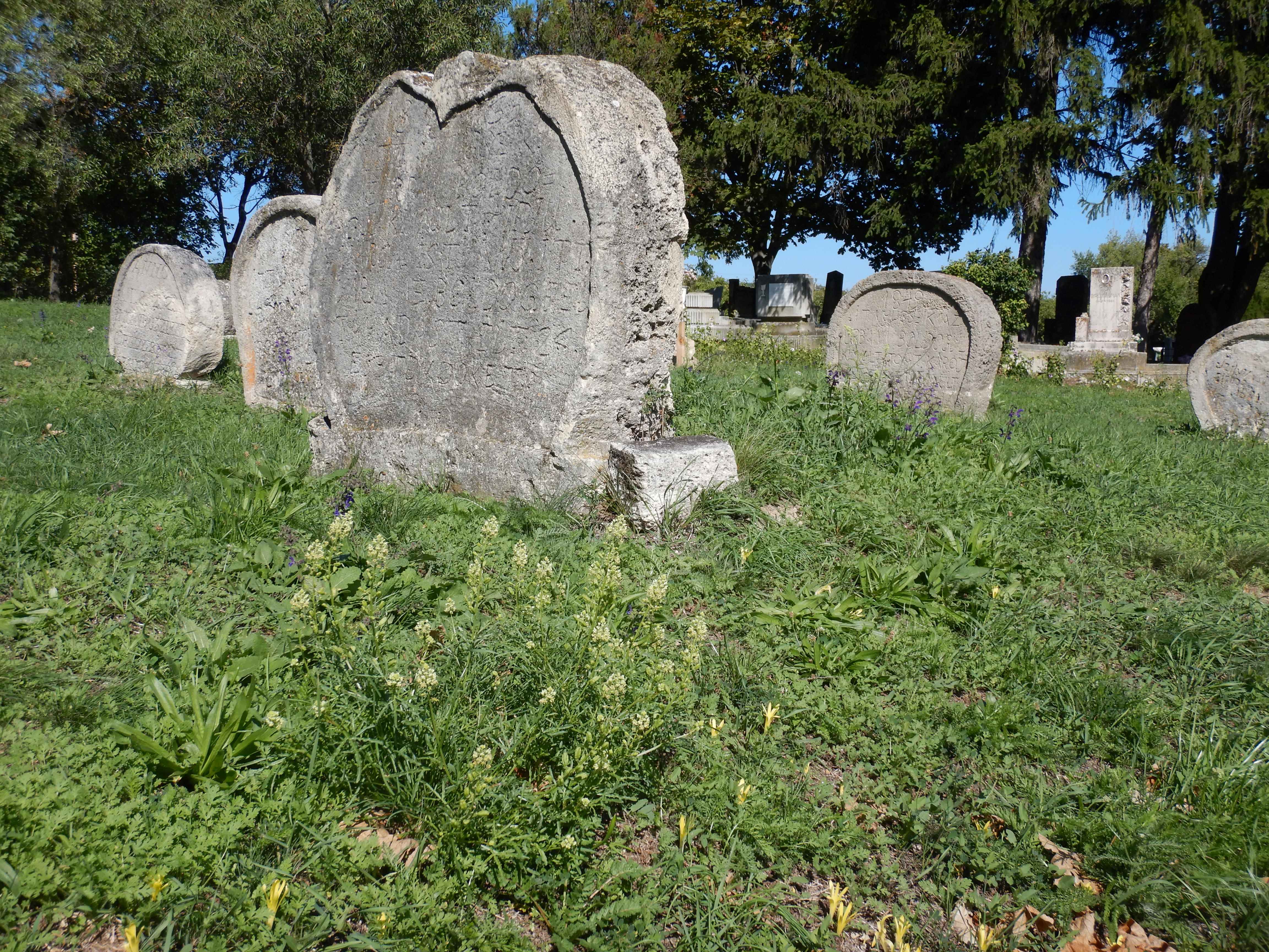 DSCN1419.jpg