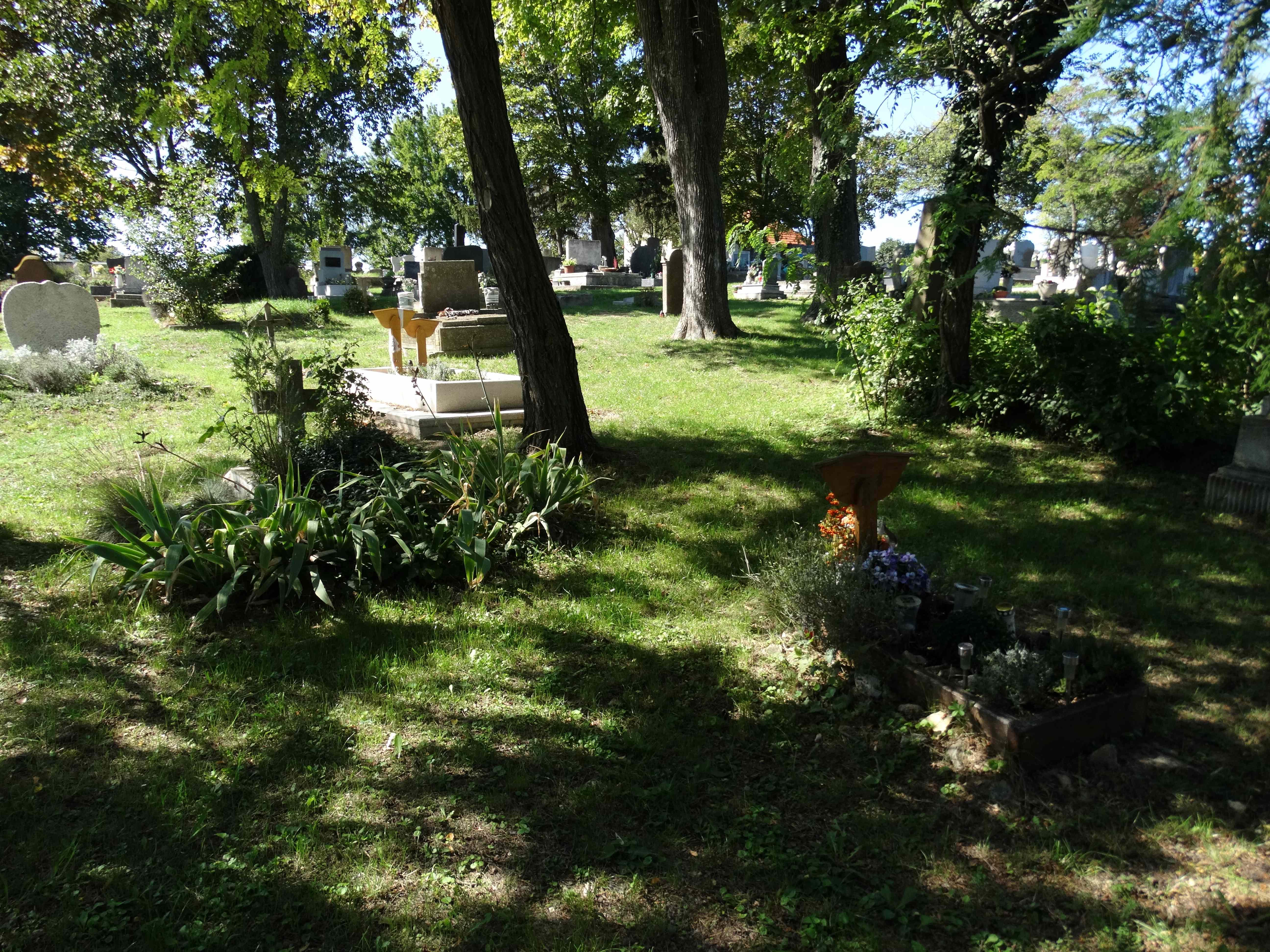 DSC02575.jpg