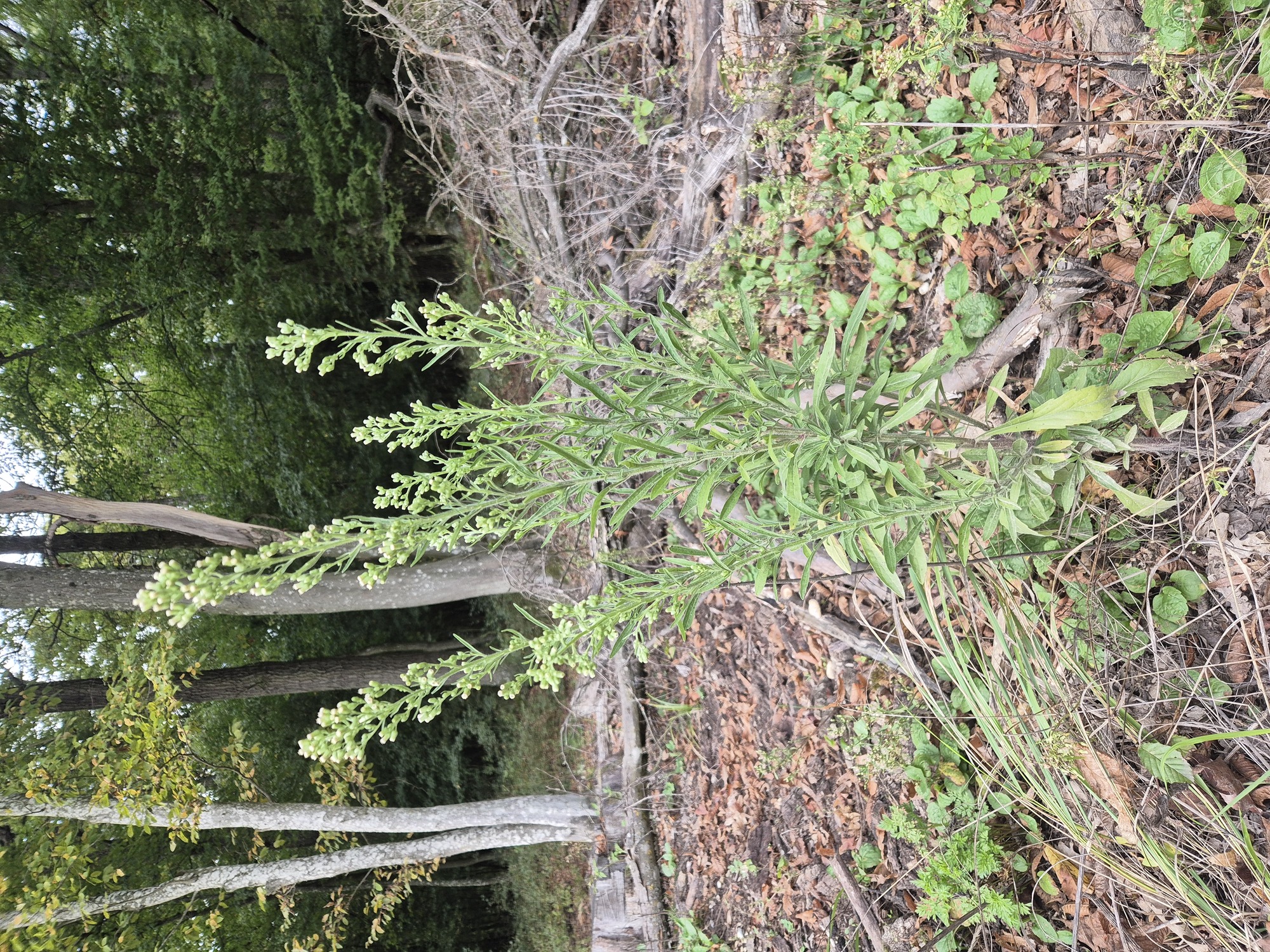20250928_164456.jpg