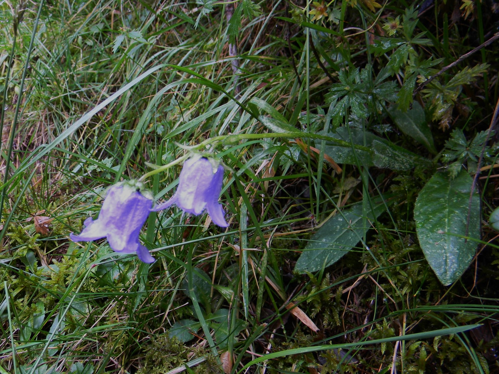 DSCN1692.JPG