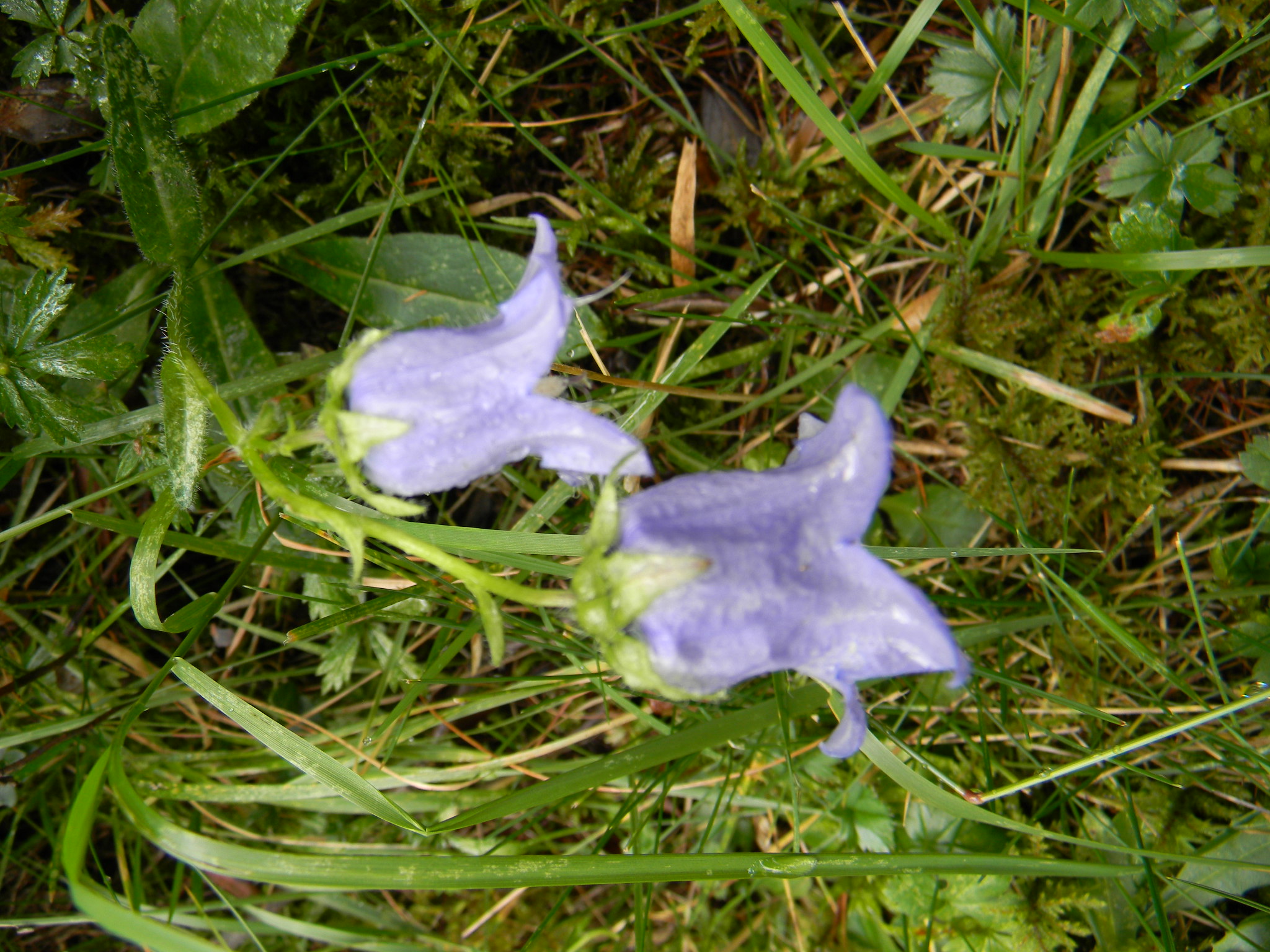 DSCN1695.JPG