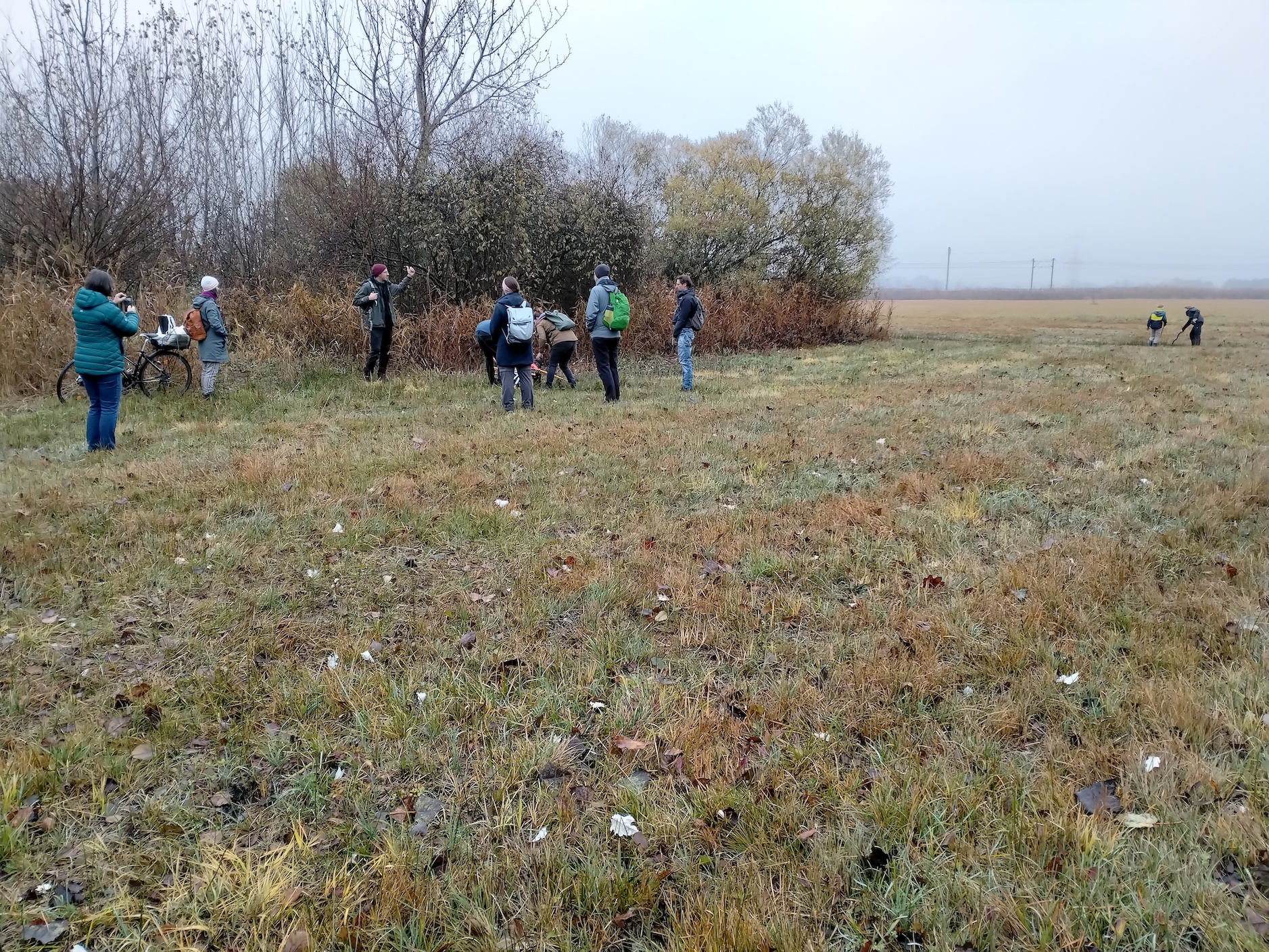 pflegeeinsatz NSG pischelsdorfer fischawiesen gramatneusiedl_20251115_101728.jpg