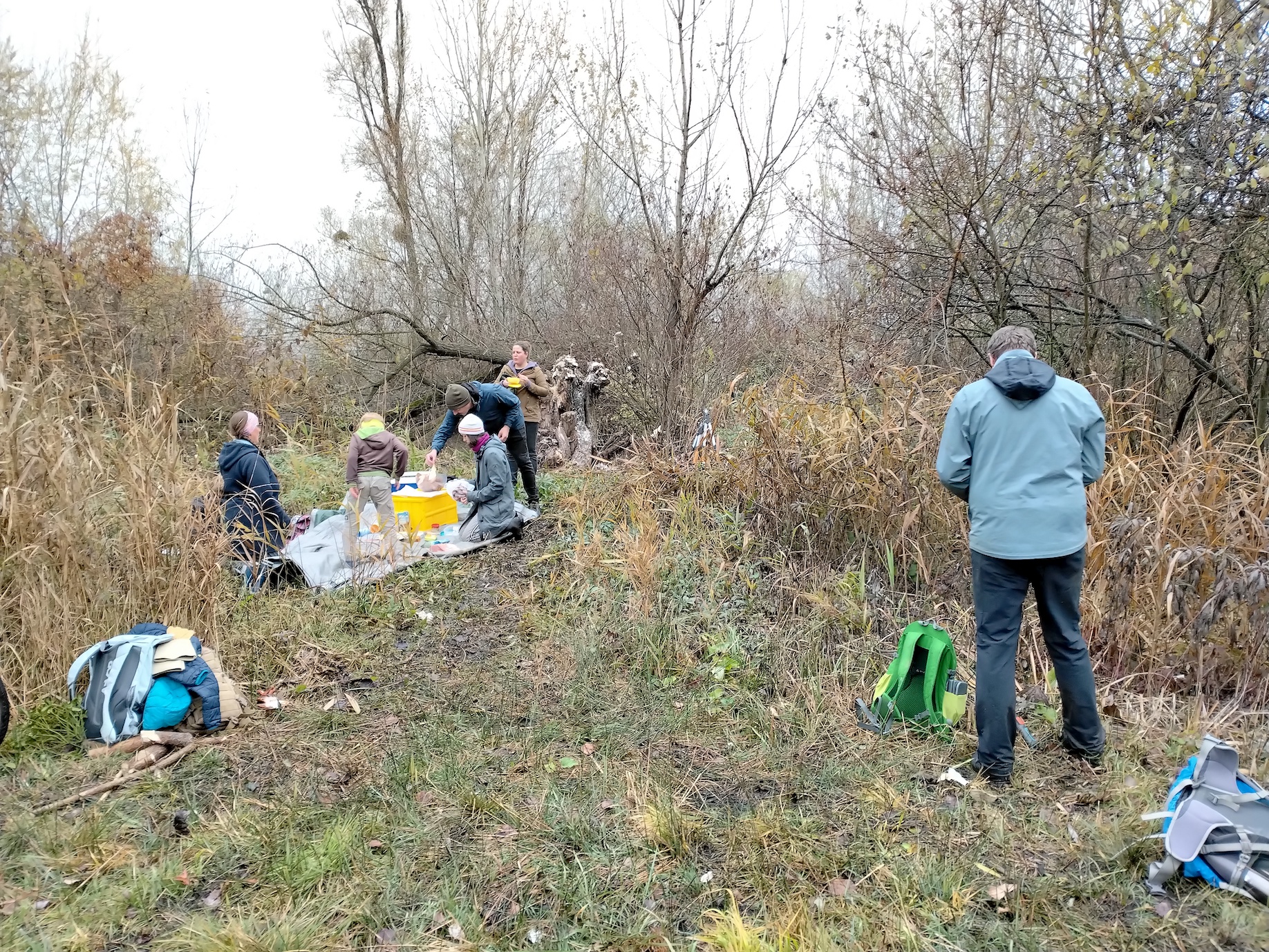 pflegeeinsatz NSG pischelsdorfer fischawiesen gramatneusiedl_20251115_121932.jpg