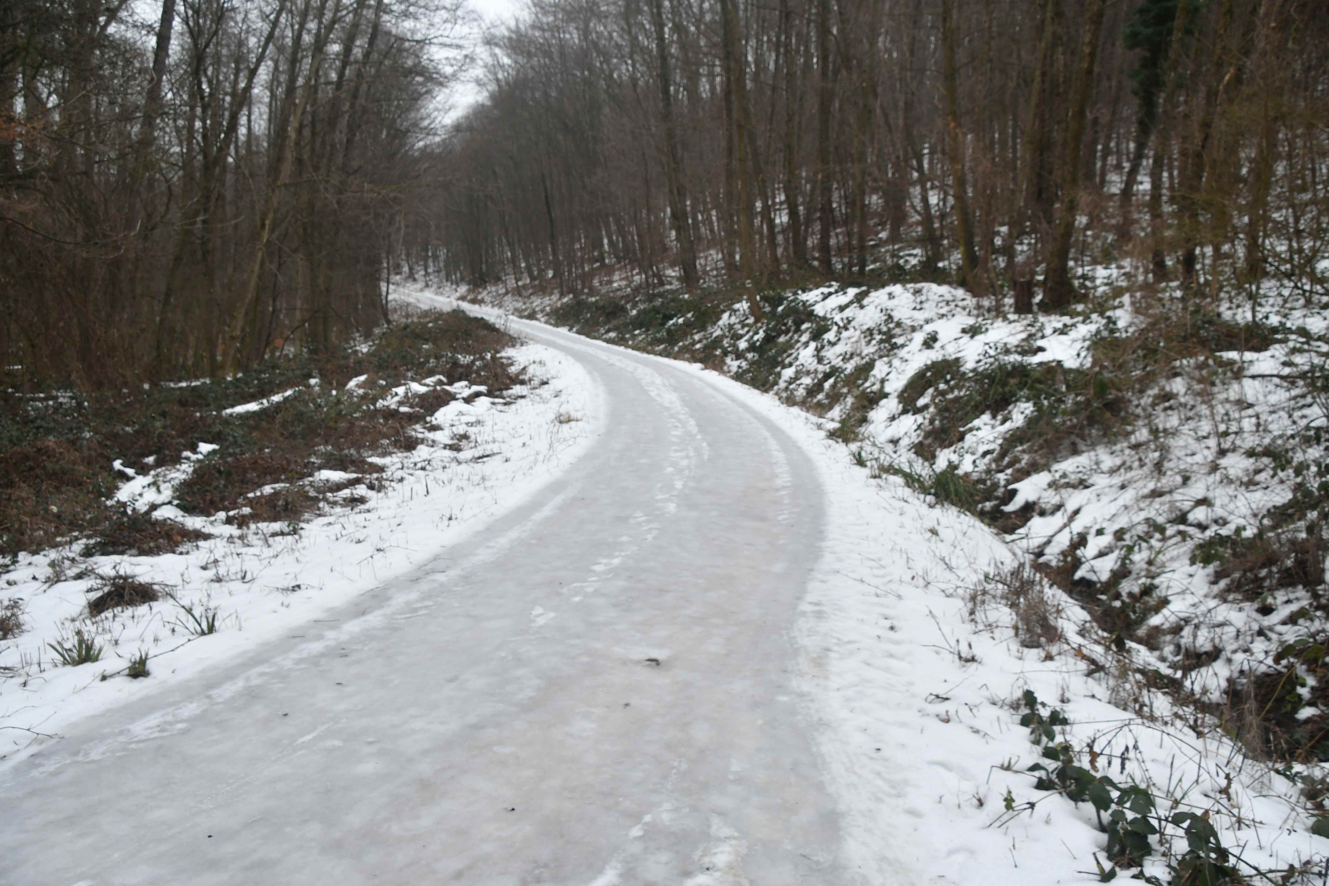 Breitenfurt - 31012026.JPG