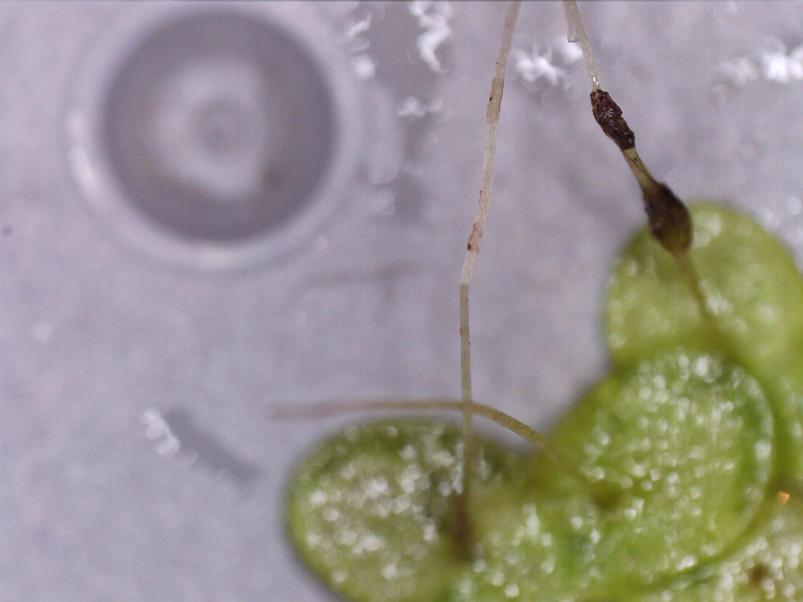 WW - 01032026 - (39).jpg