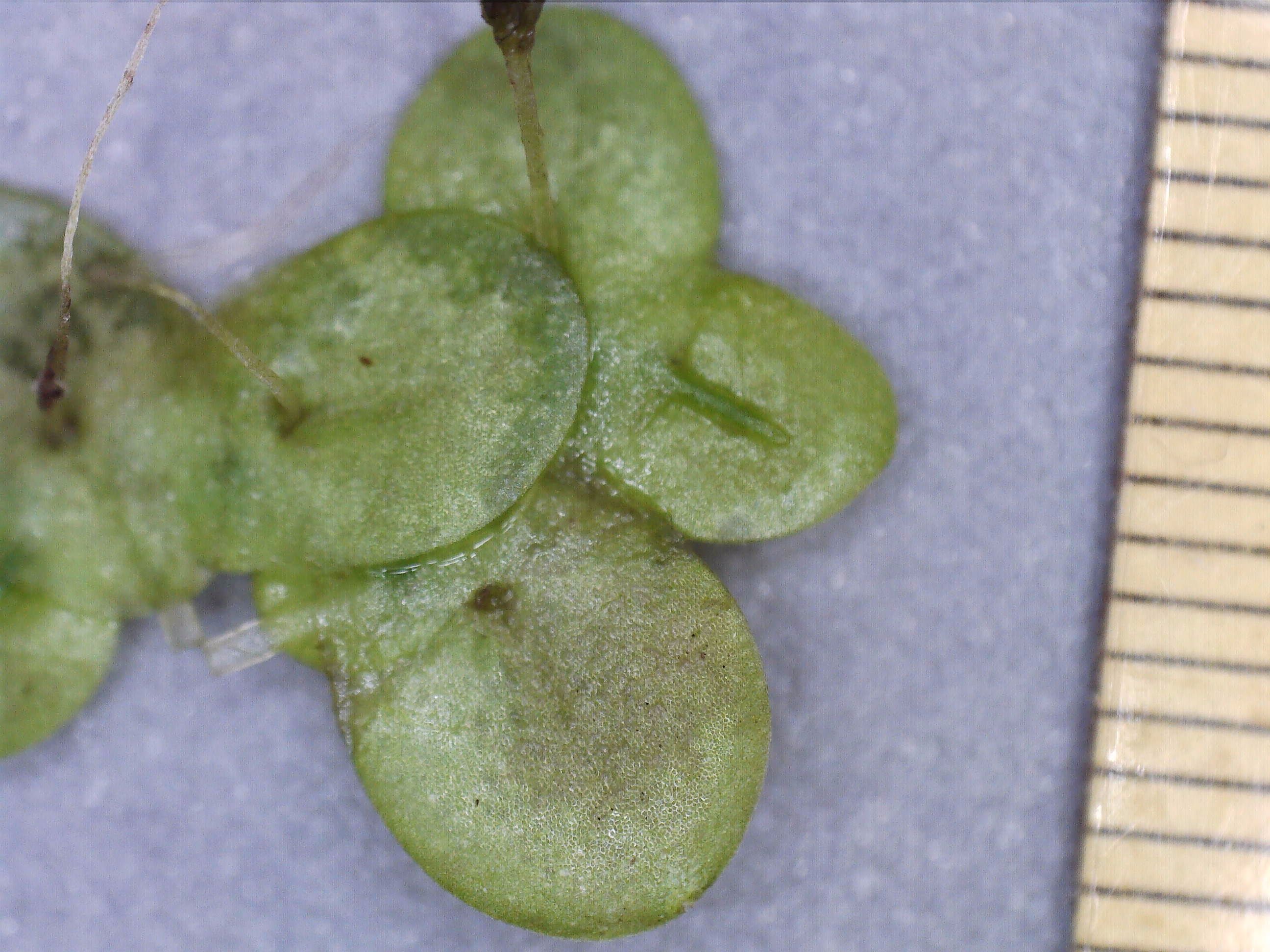 WW - 01032026 - (40).jpg