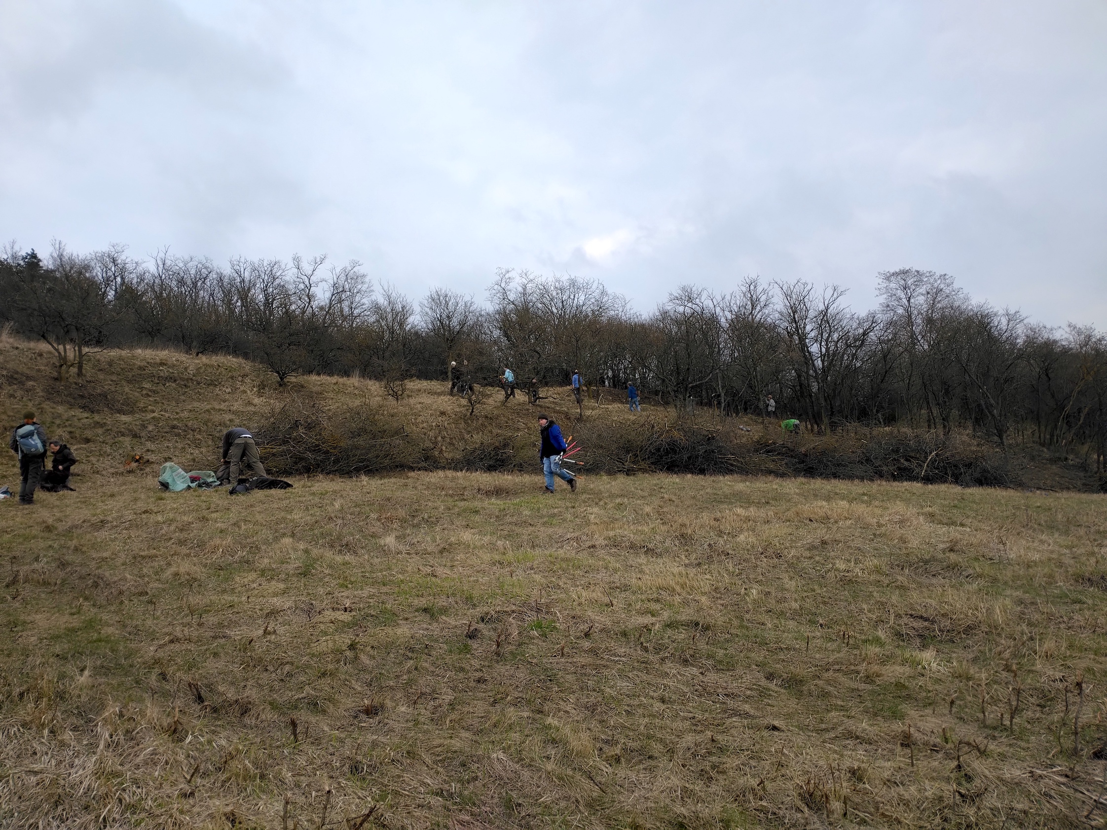 pflegeeinsatz bockstall burgstall haslach_20260321_145336.jpg