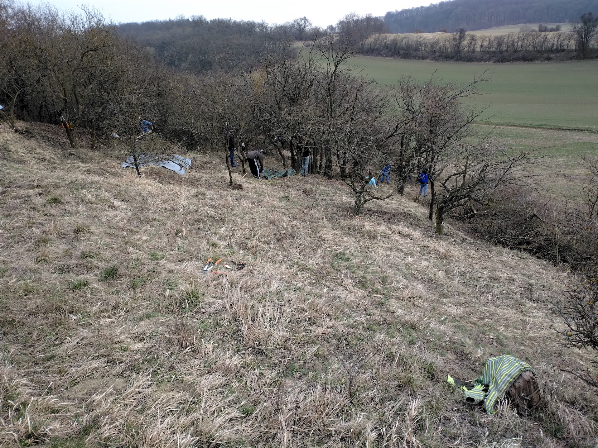 pflegeeinsatz bockstall burgstall haslach_20260321_142659.jpg