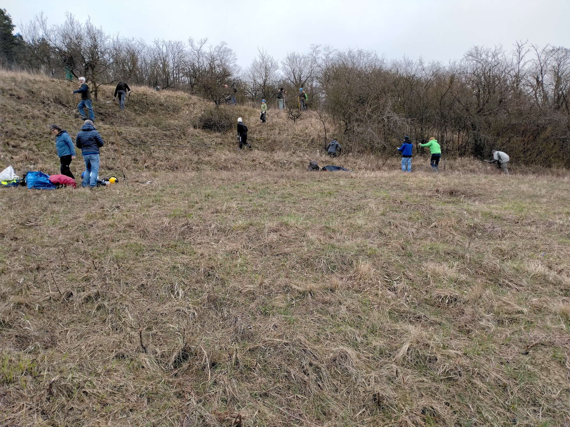 pflegeeinsatz bockstall burgstall haslach_20260321_105641.jpg