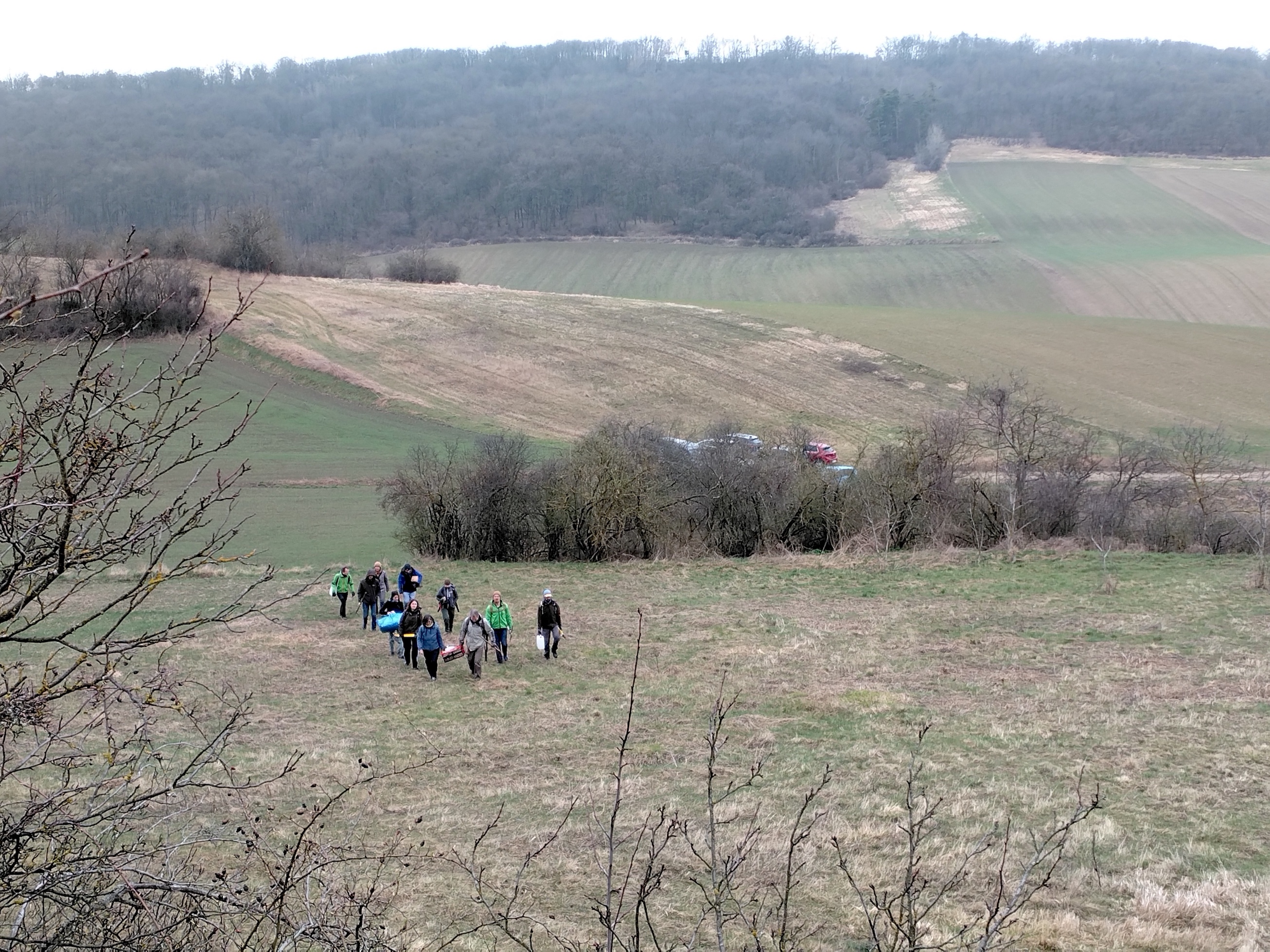 pflegeeinsatz bockstall burgstall haslach_20260321_105055.jpg