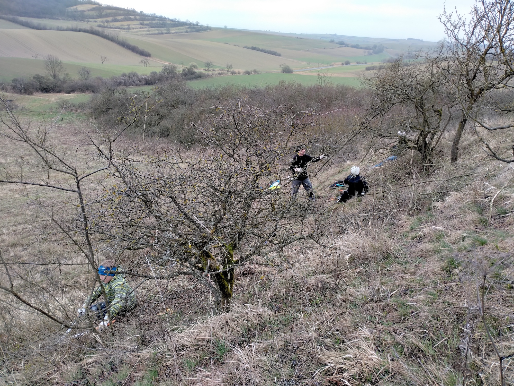 pflegeeinsatz bockstall burgstall haslach_20260321_105015.jpg