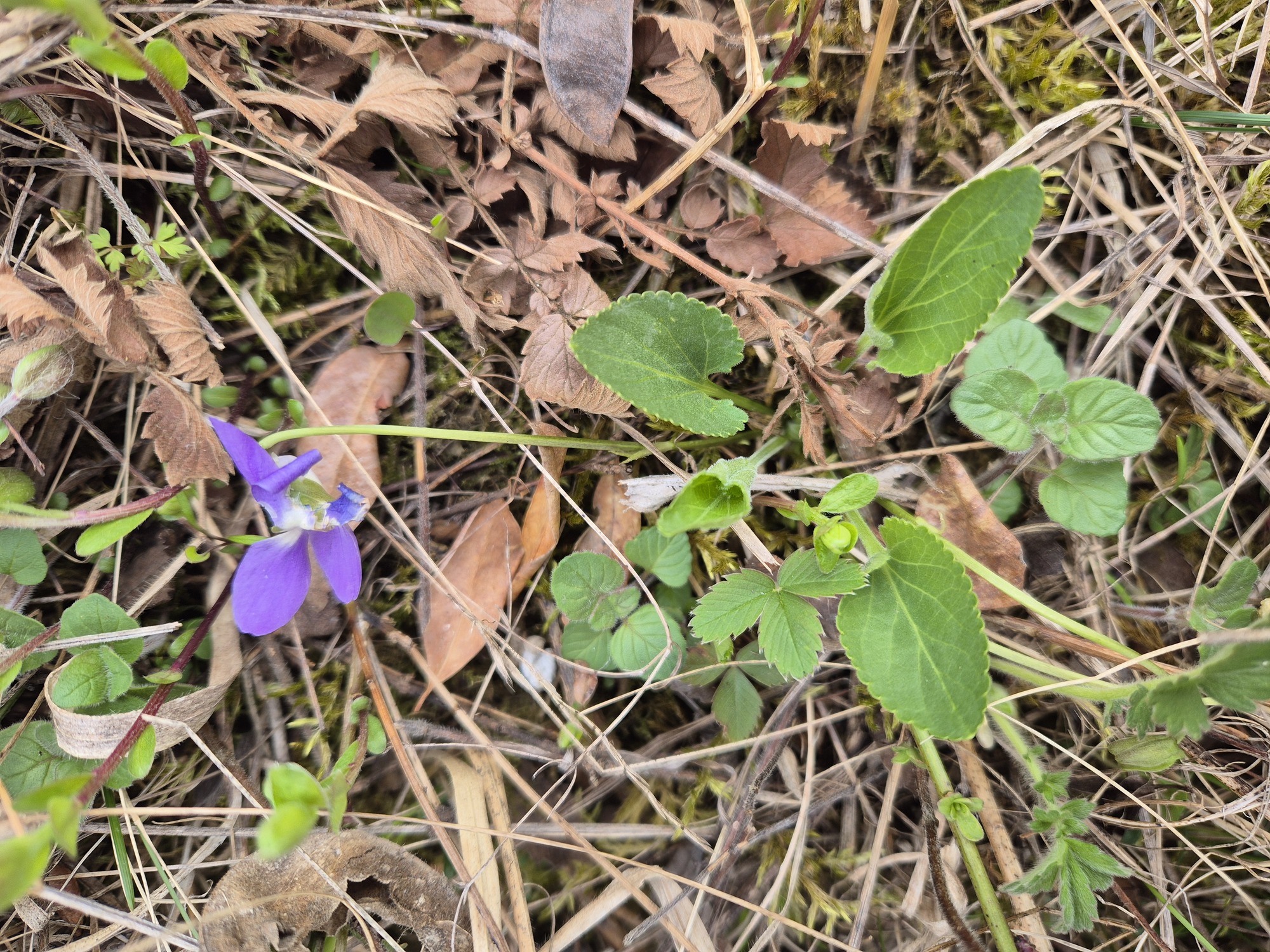 20260404_092419.jpg