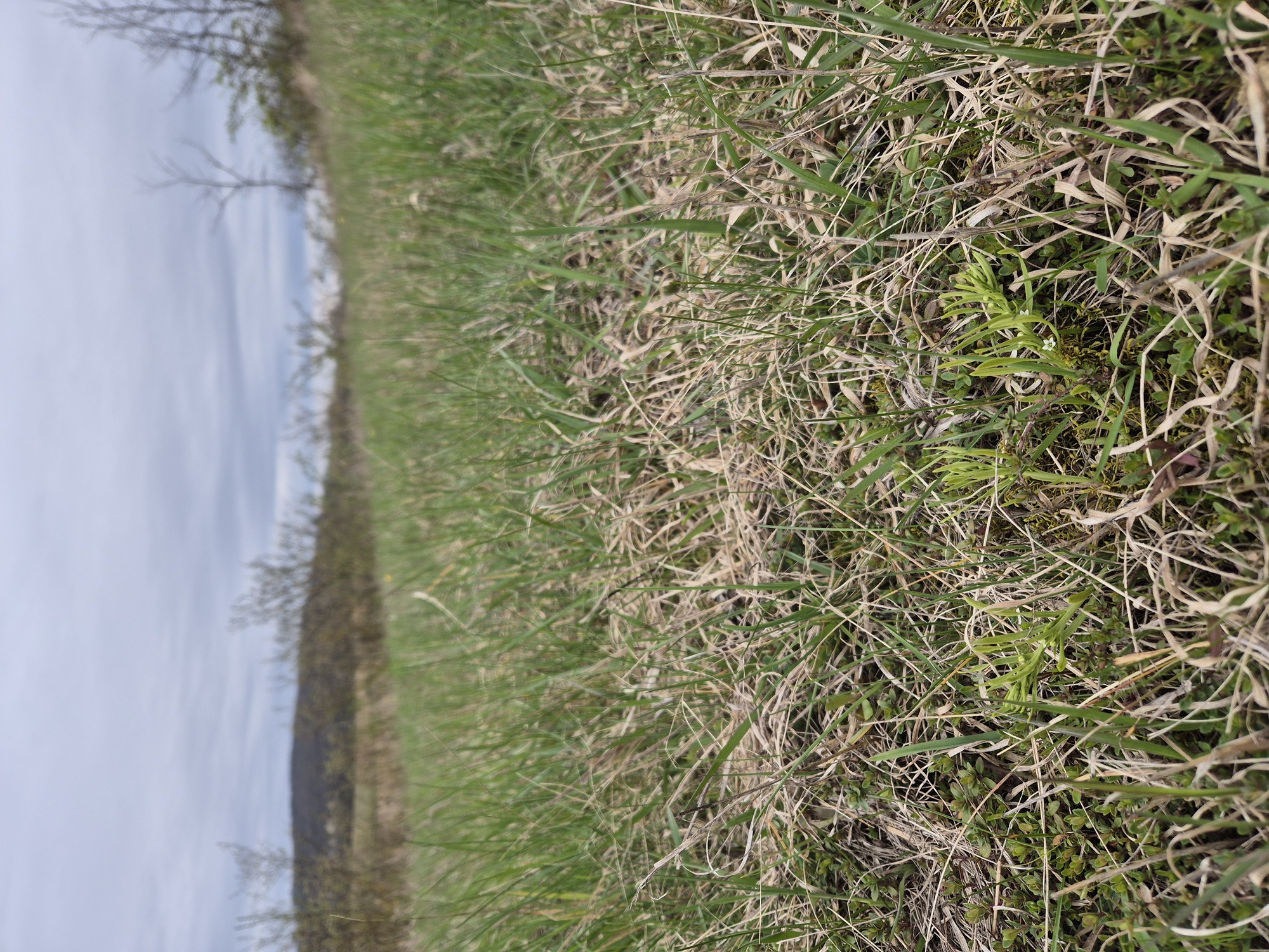 20260404_104131.jpg