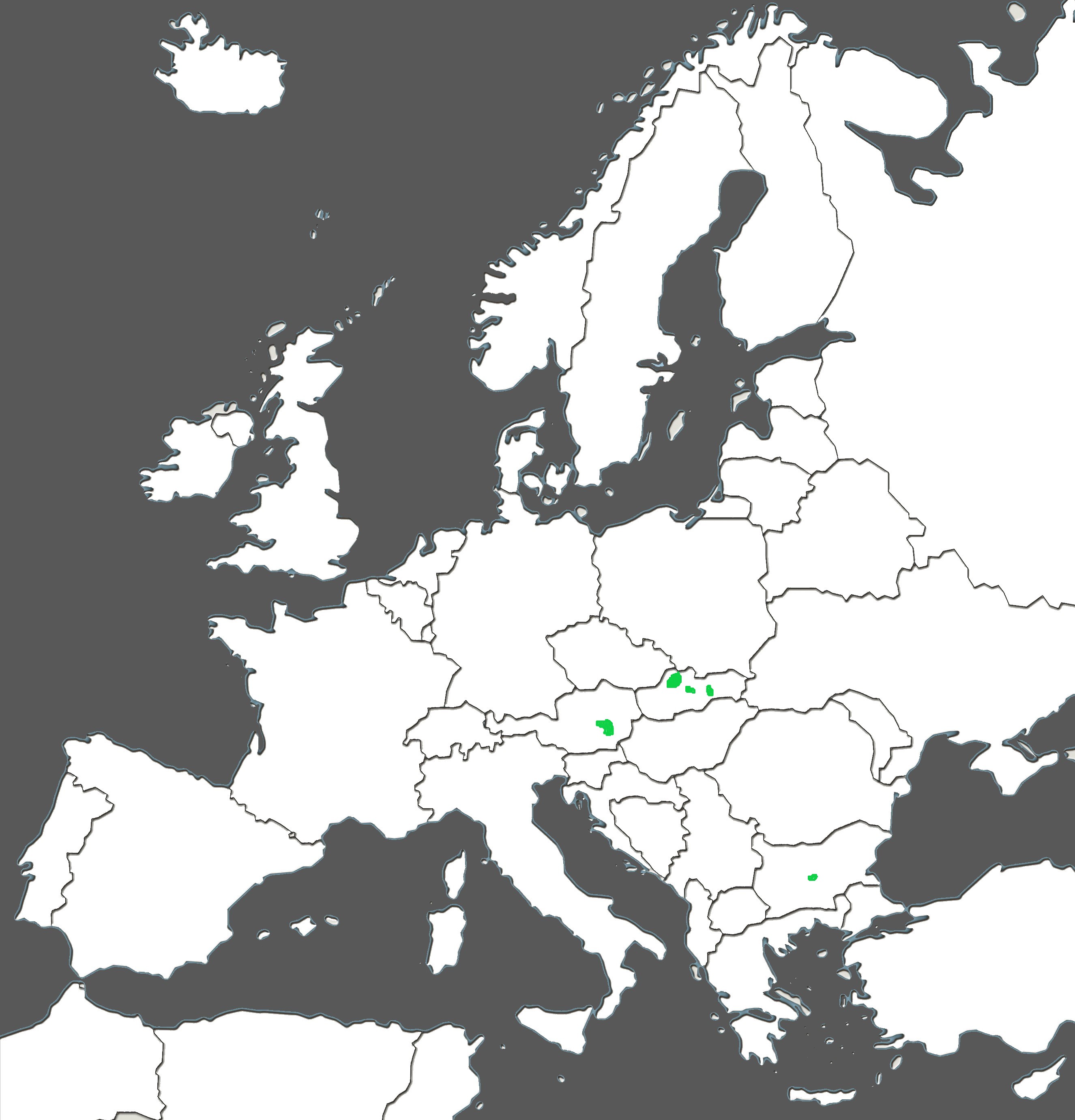 Pulsatilla styriaca..jpg