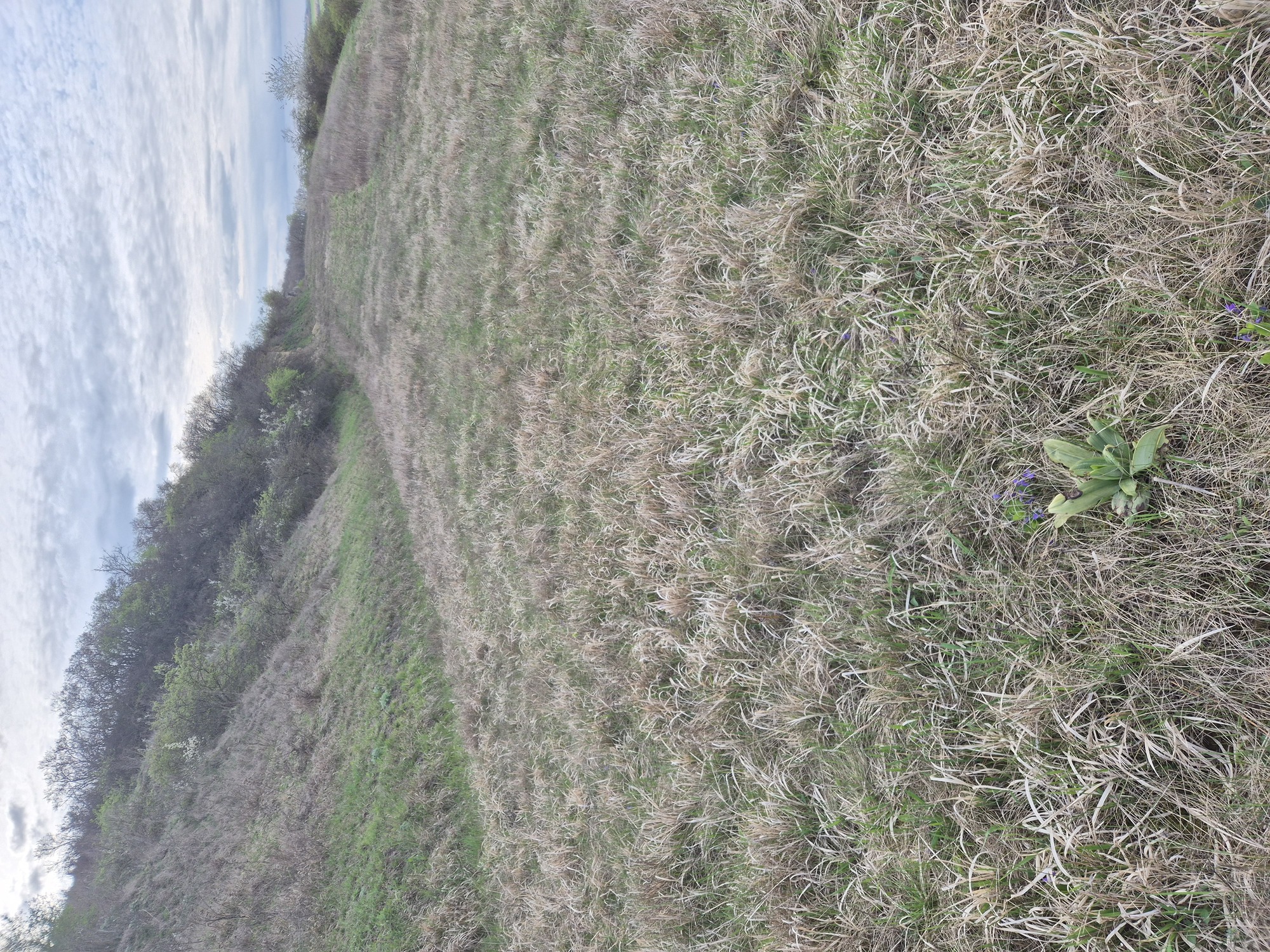 20260406_084155.jpg