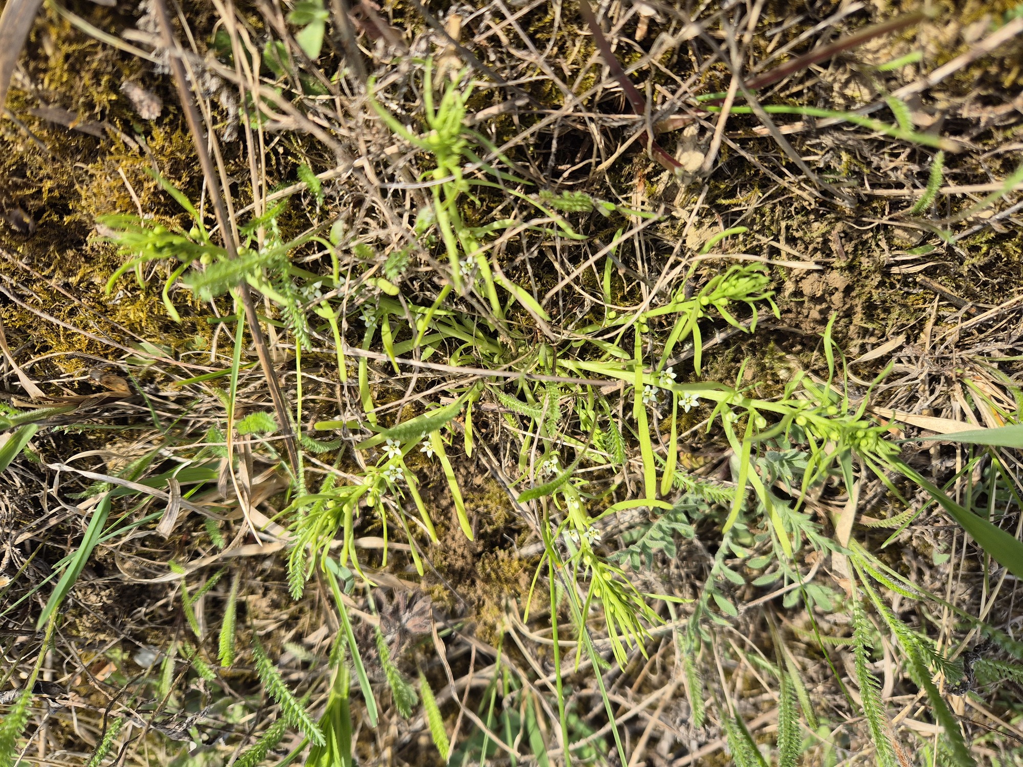 20260406_090947.jpg