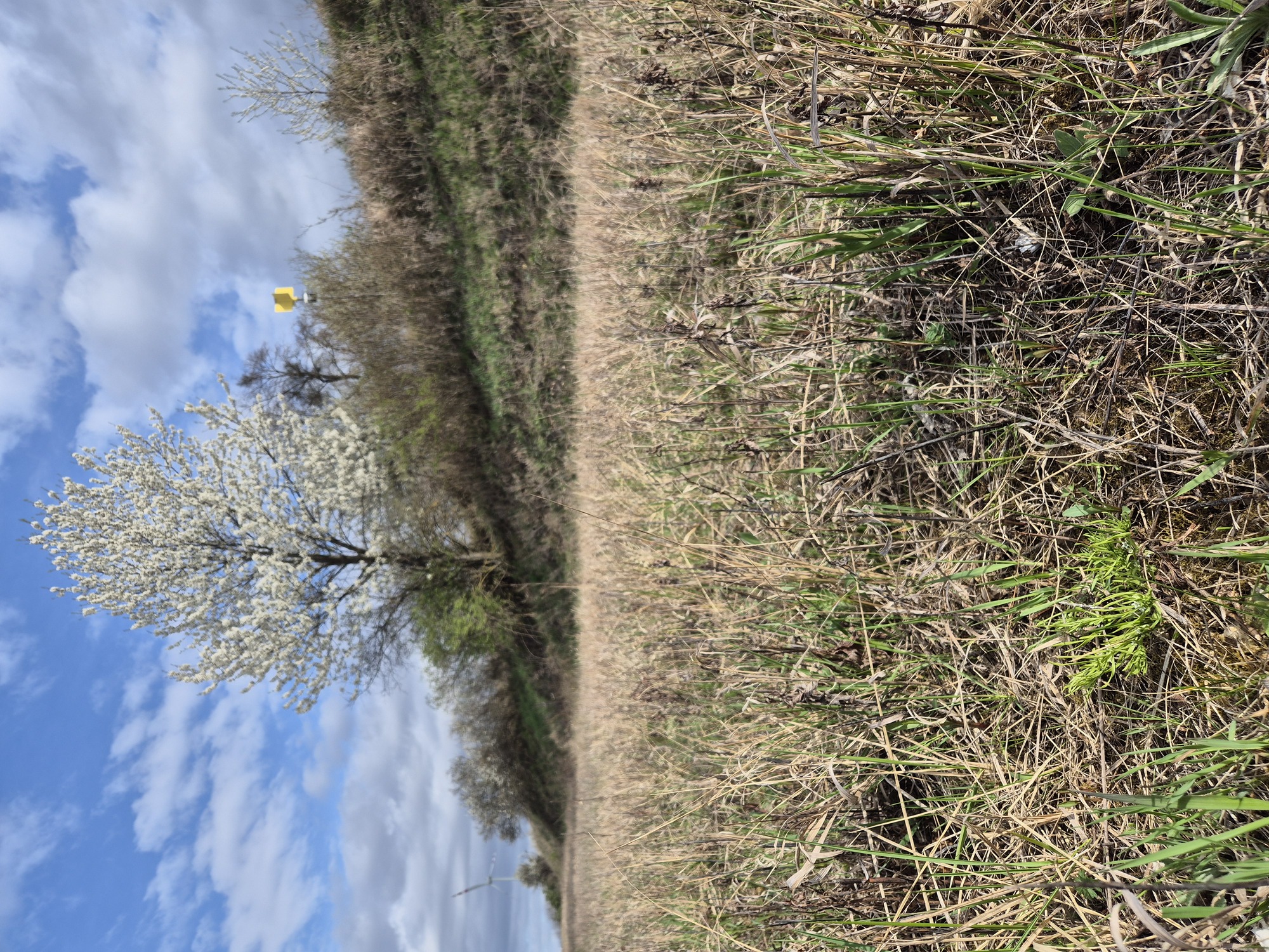 20260406_091600.jpg