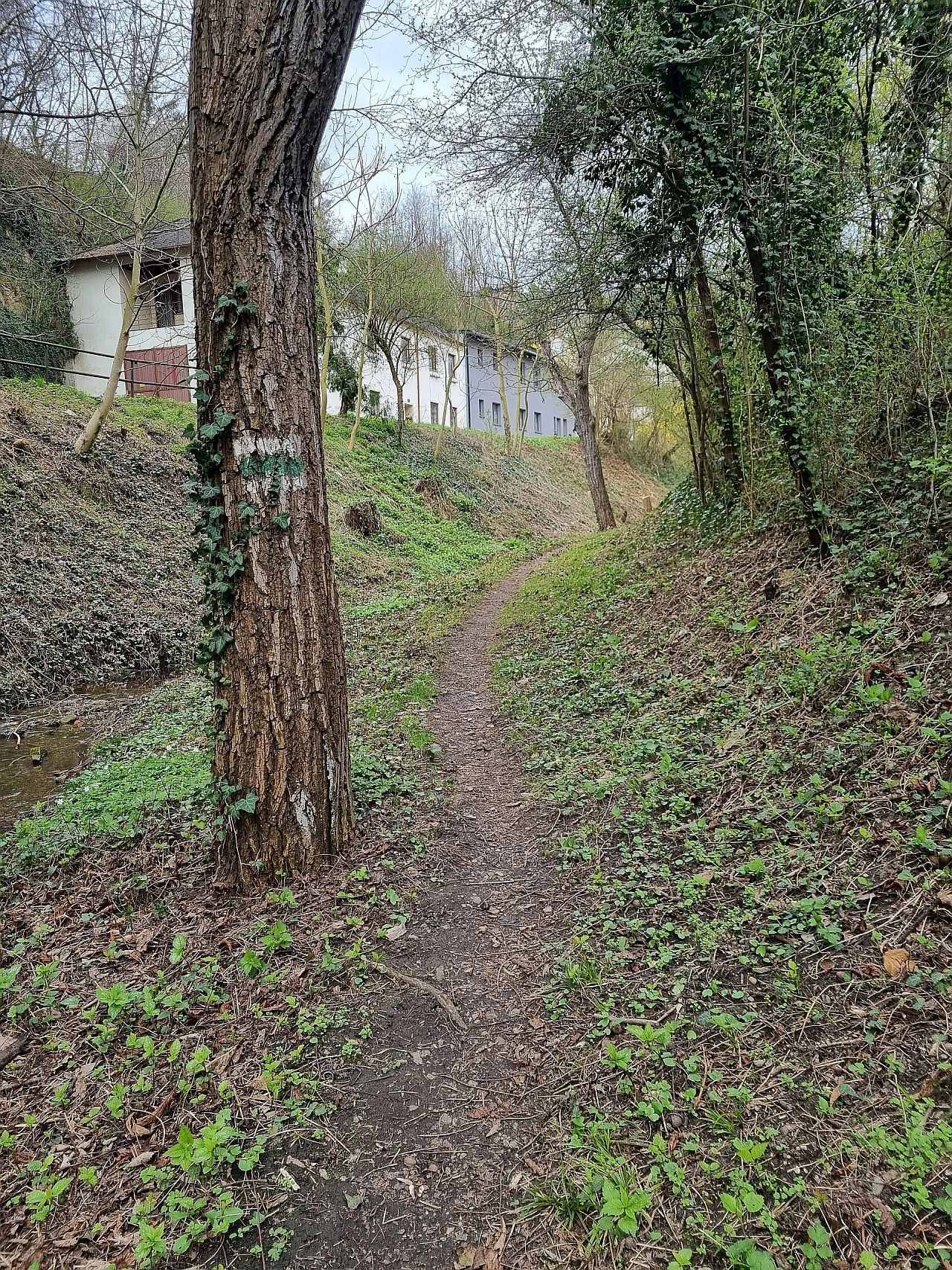 20260404_112214 graben2.jpg